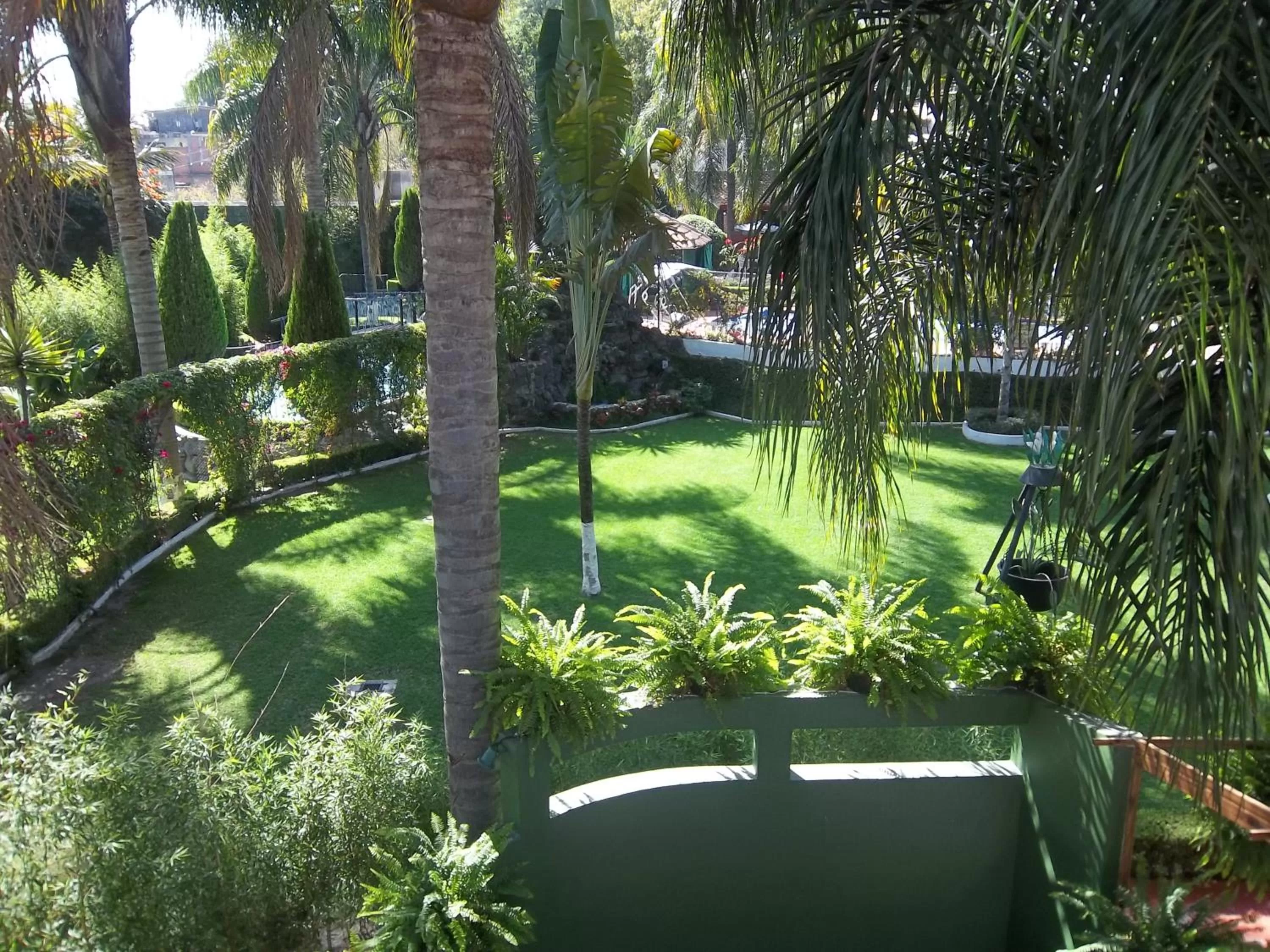 Garden in Posada Los Alcatraces