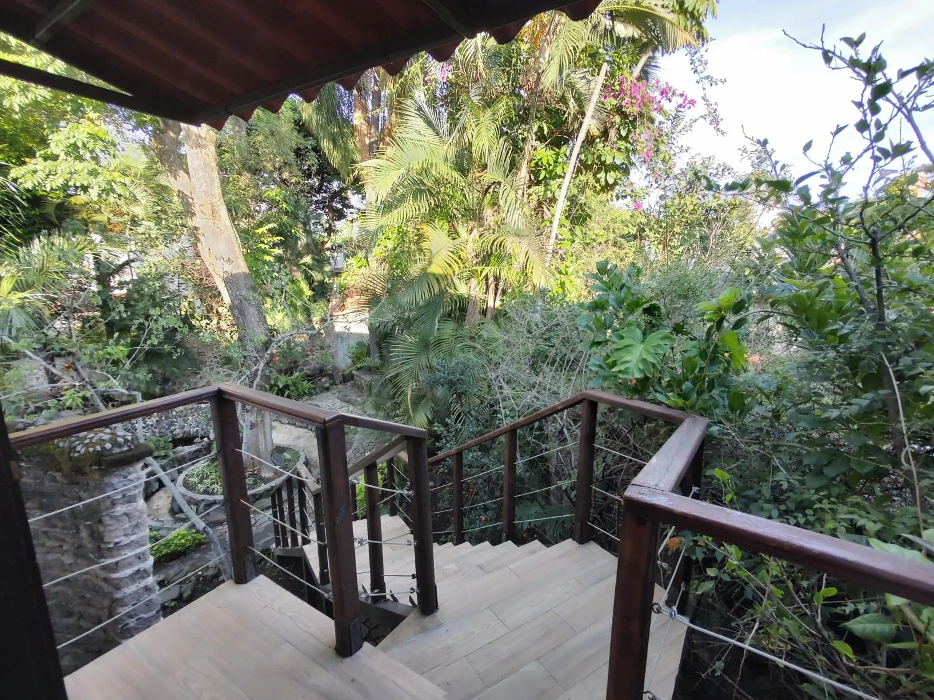 Garden view, Balcony/Terrace in La Joyita