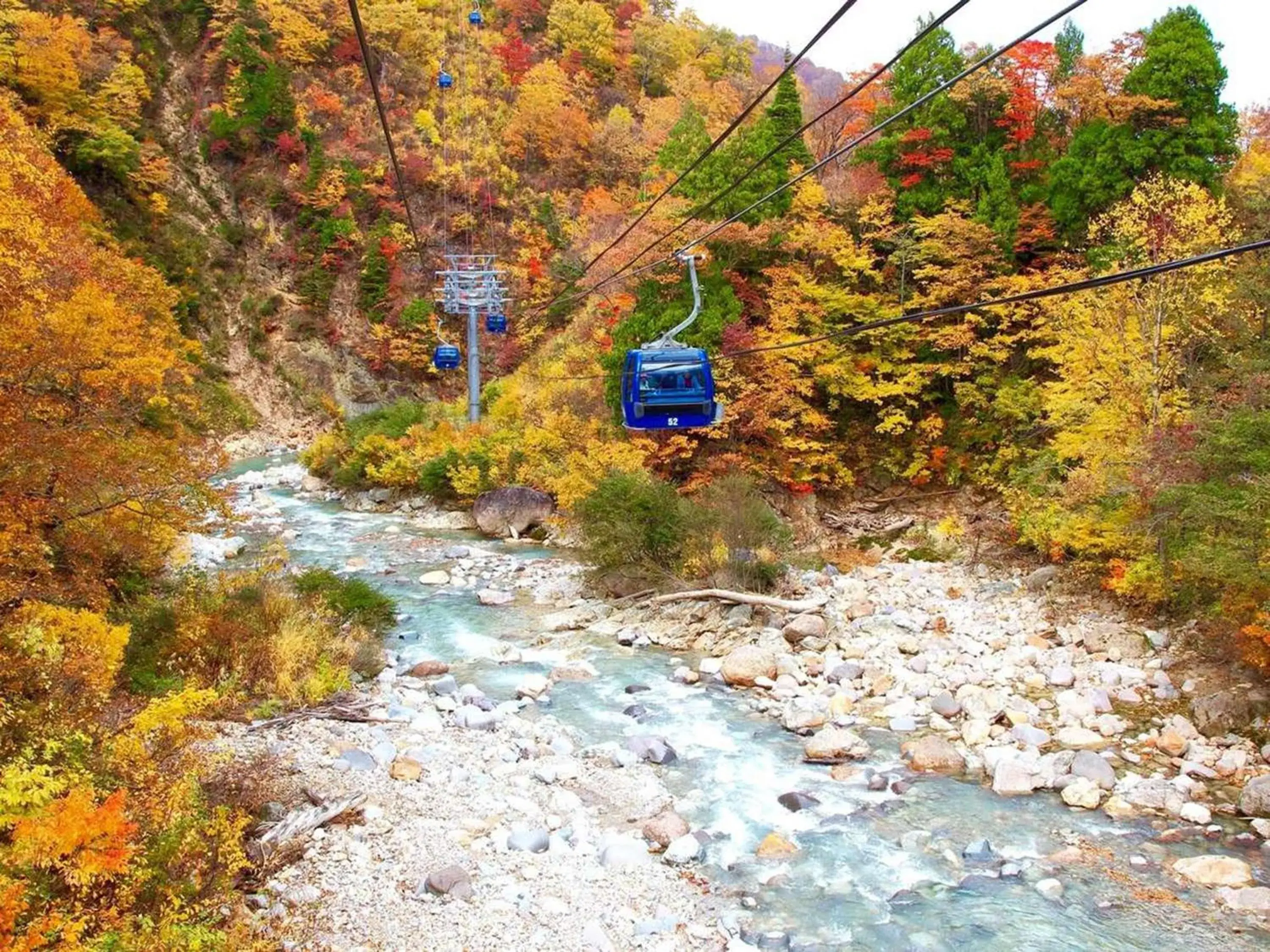 Natural landscape in Naeba Prince Hotel