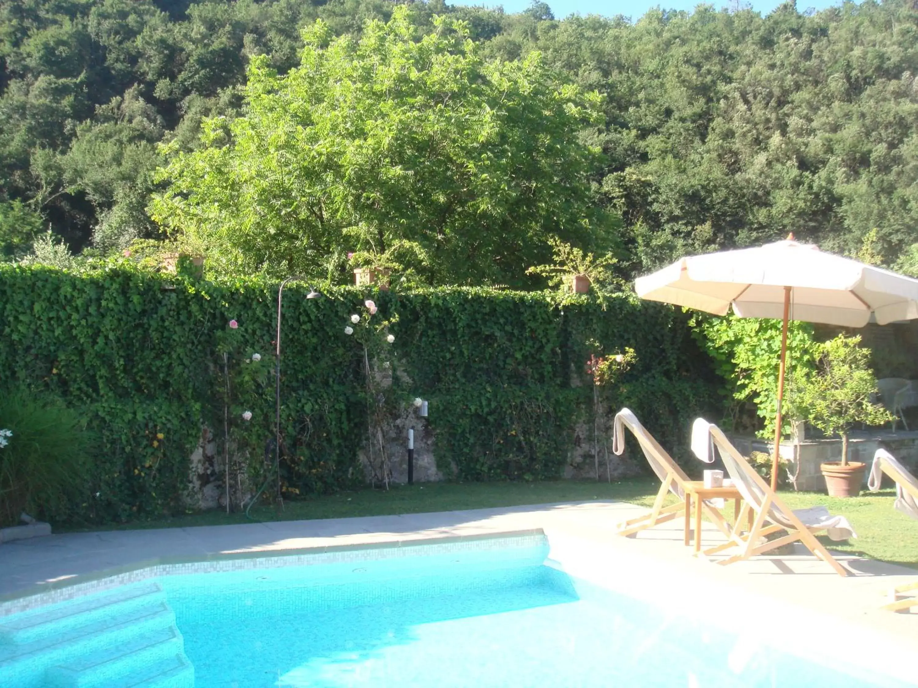 Pool view, Swimming Pool in B&B Pieve Degli Artisti