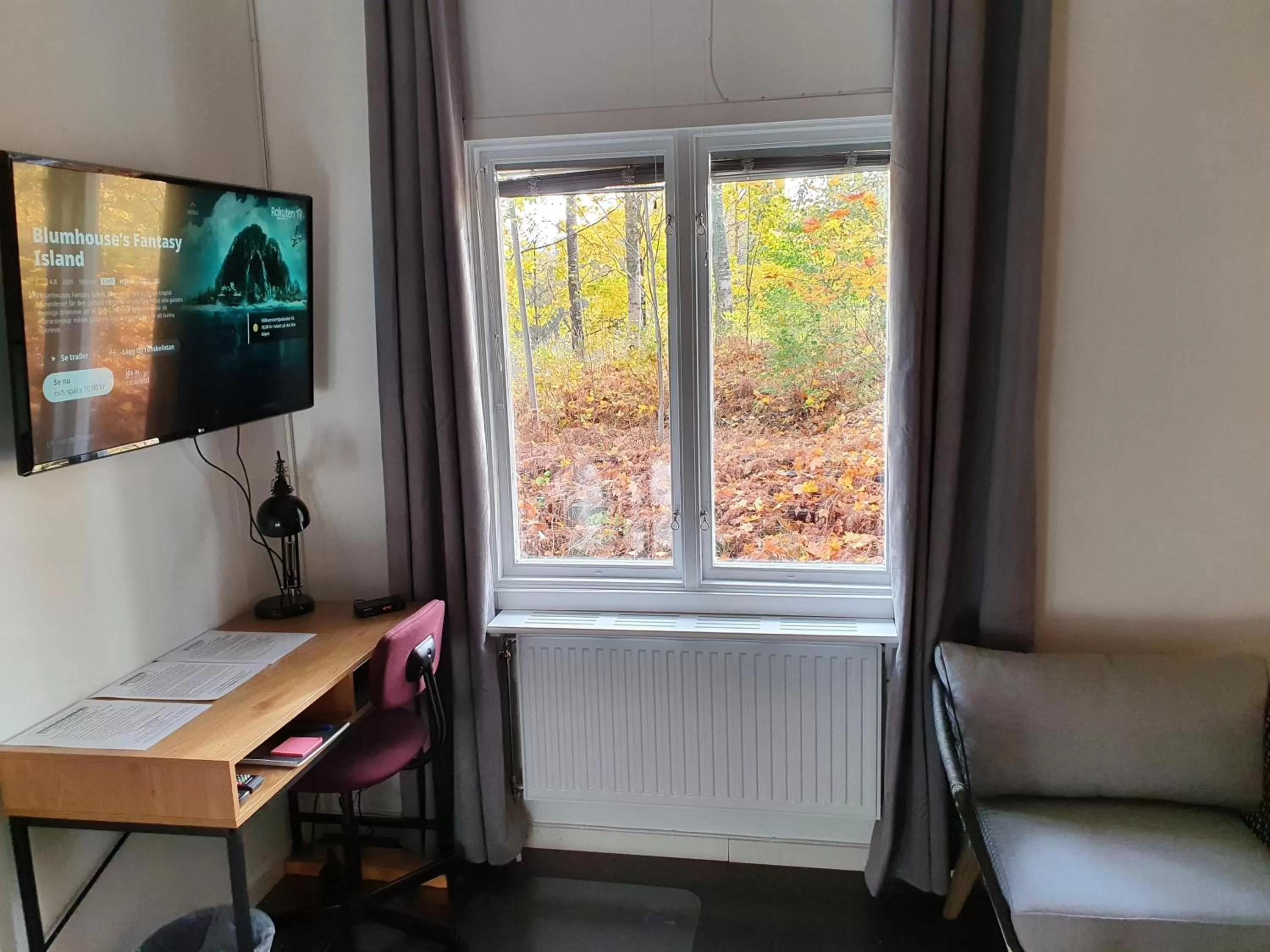 TV and multimedia in Brukshotellet Skinnsberg