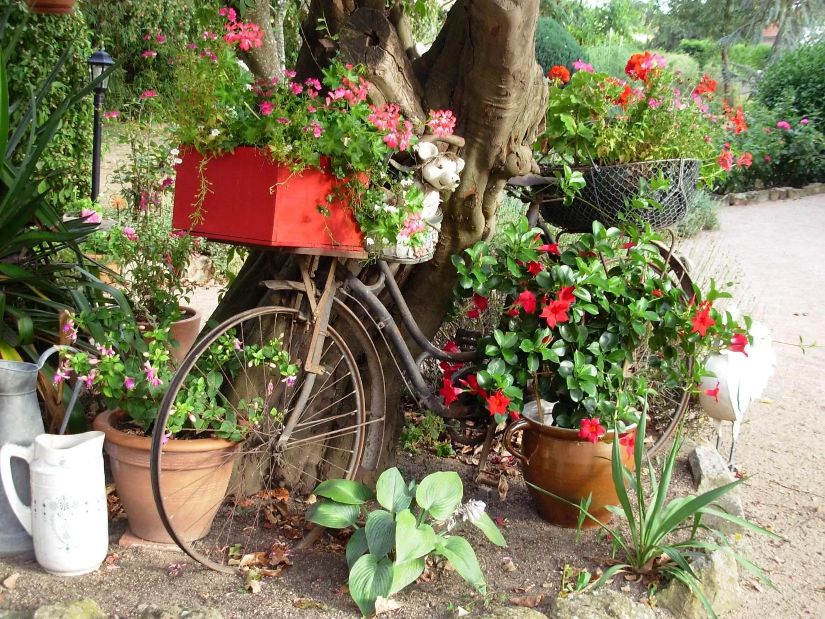 Garden in La Grange du Bourg