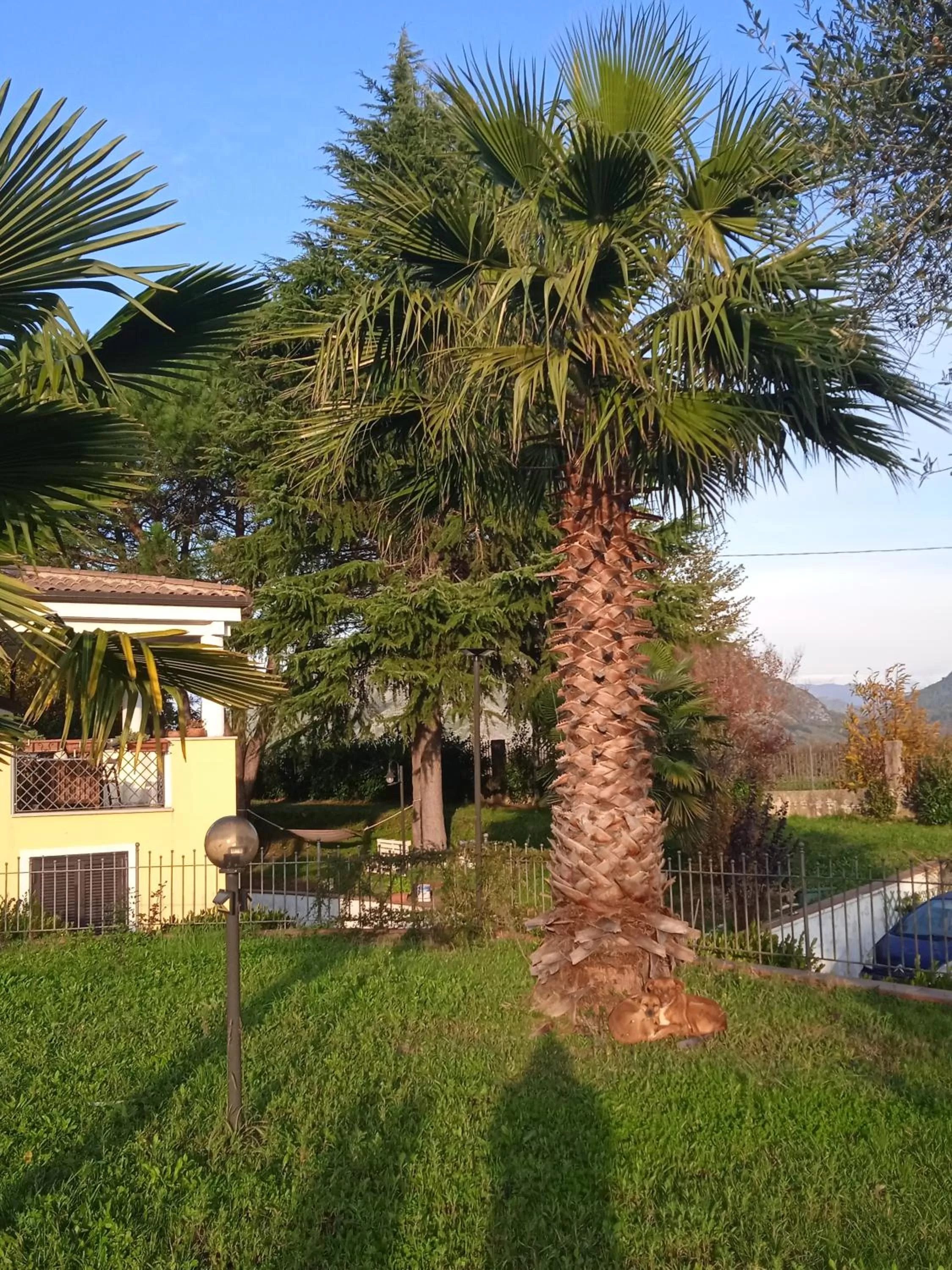 Garden in Villa Rosanna