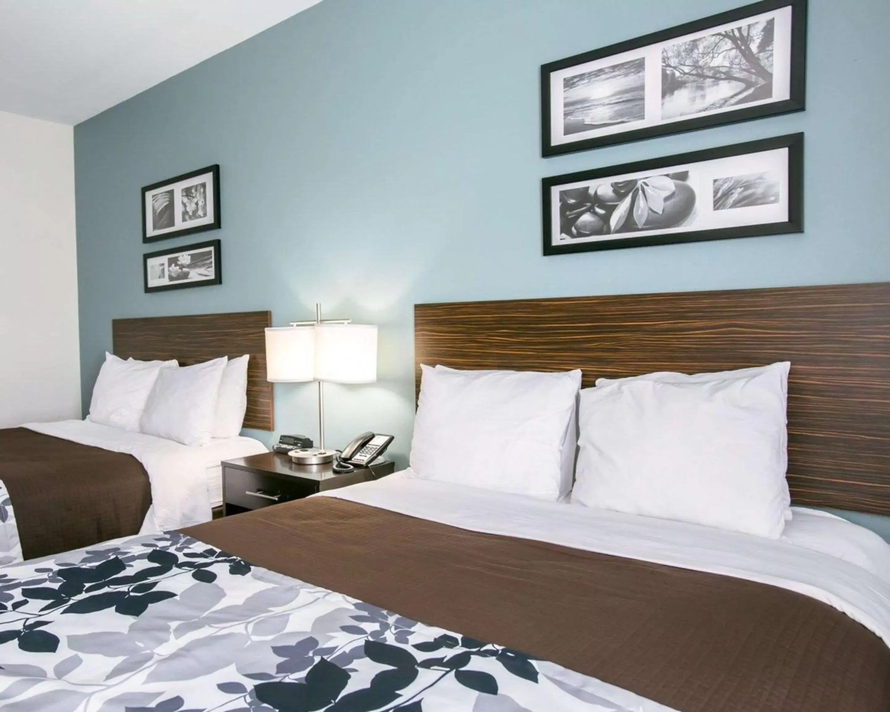 Photo of the whole room, Bed in Sleep Inn & Suites Austin