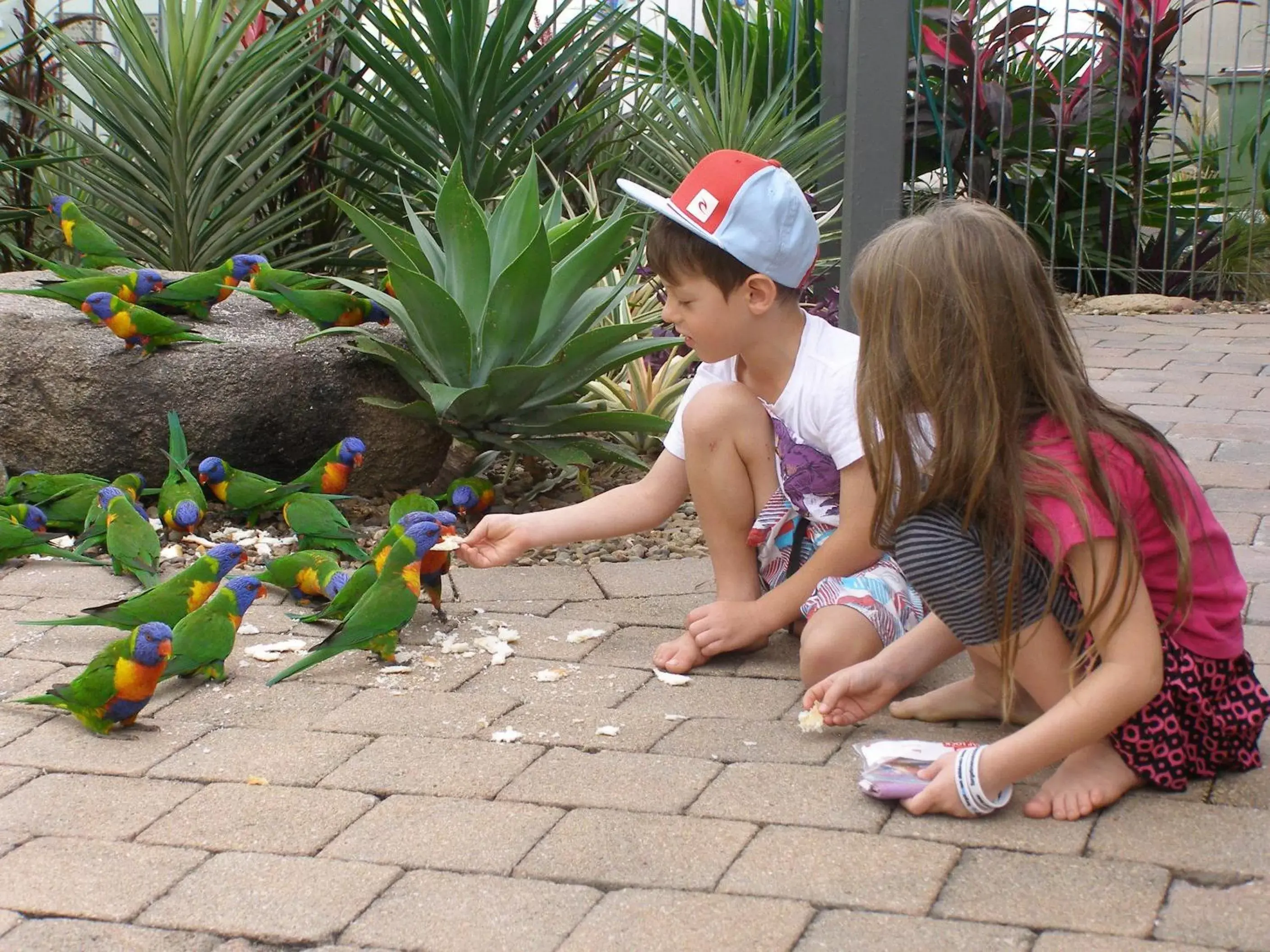 Garden, Children in Island Leisure Resort