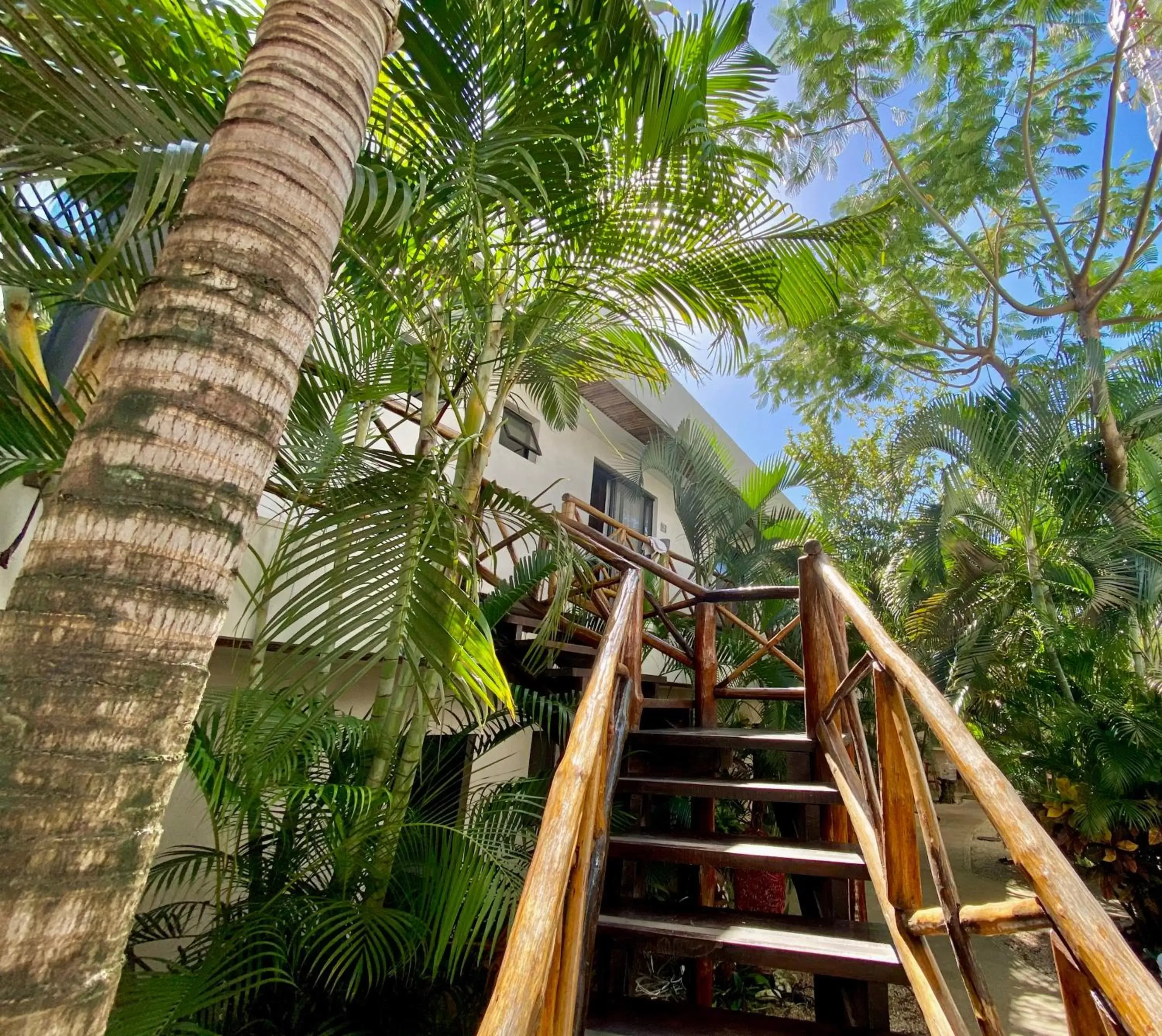 Garden in Pacha Tulum Boutique Hotel