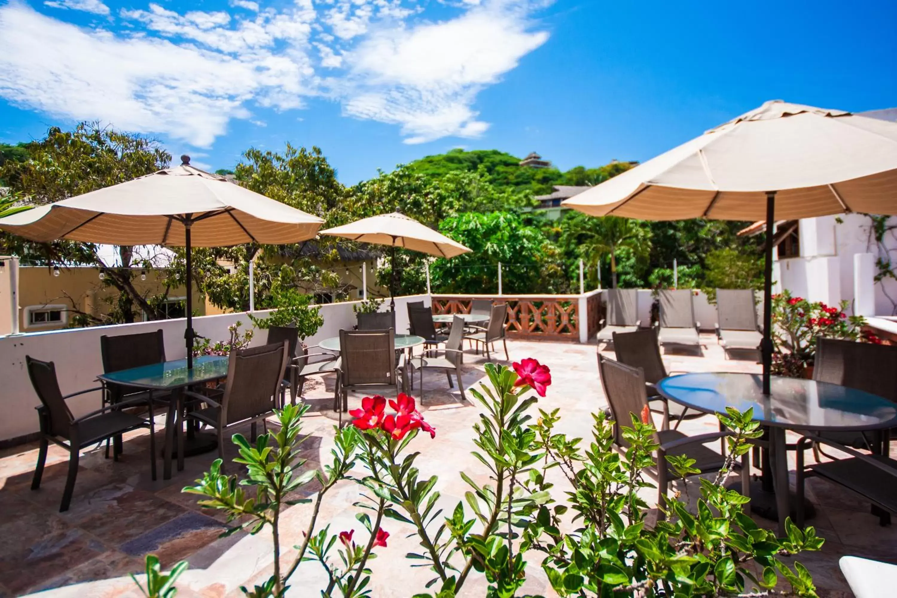 Patio, Swimming Pool in Hotelito Los Sueños