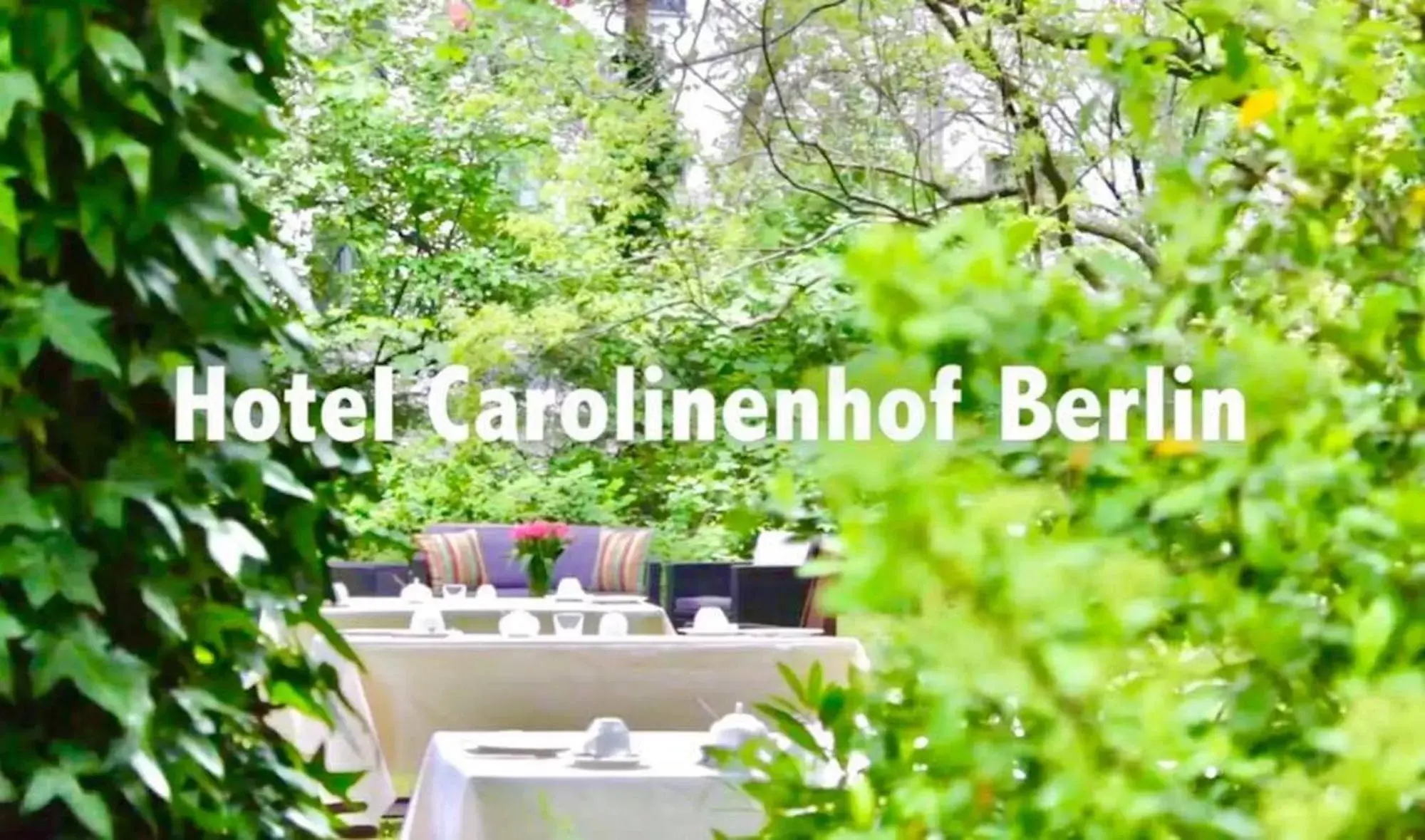 Garden in Hotel Carolinenhof