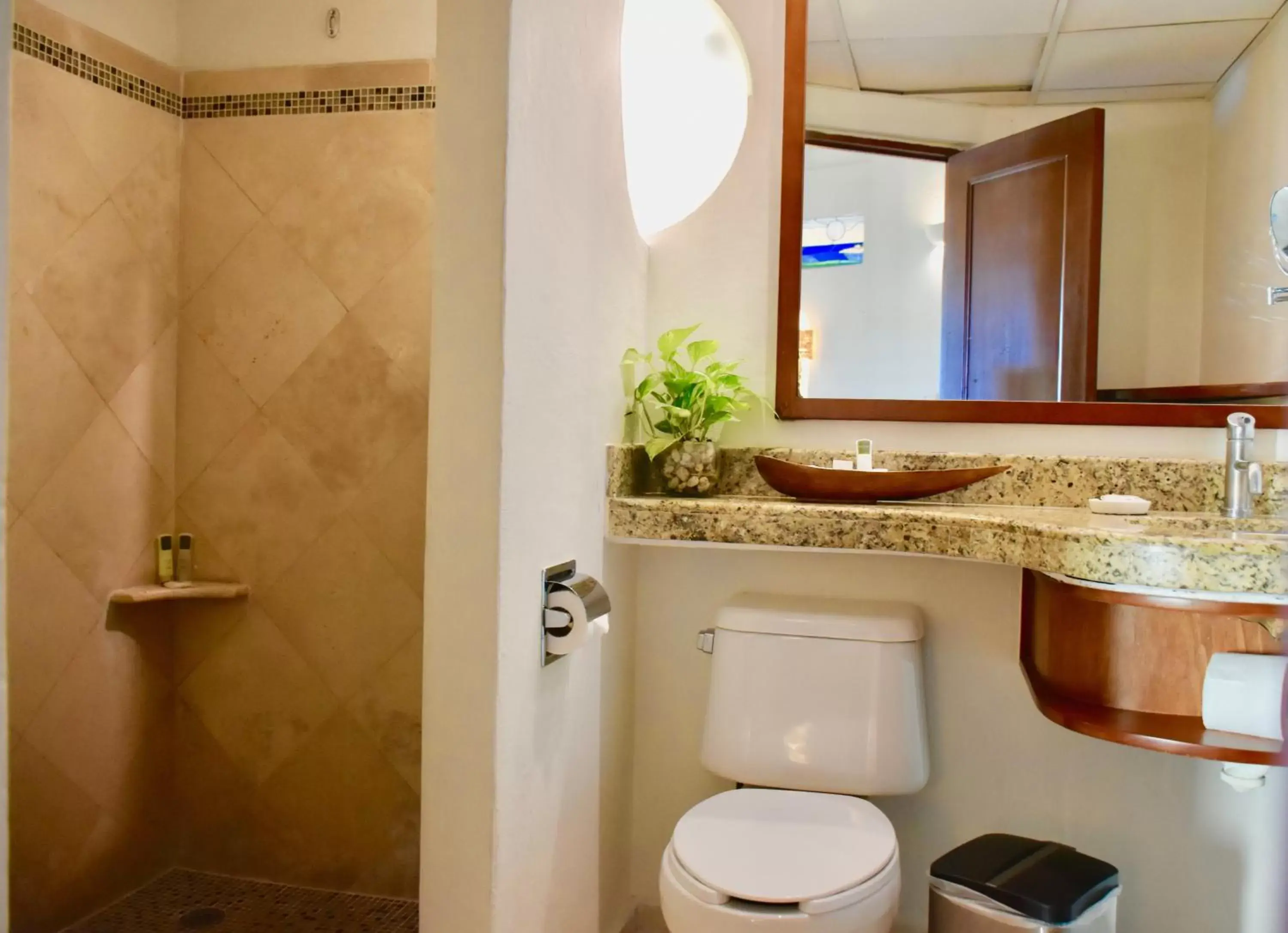 Shower, Bathroom in Playa Palms Beach Hotel