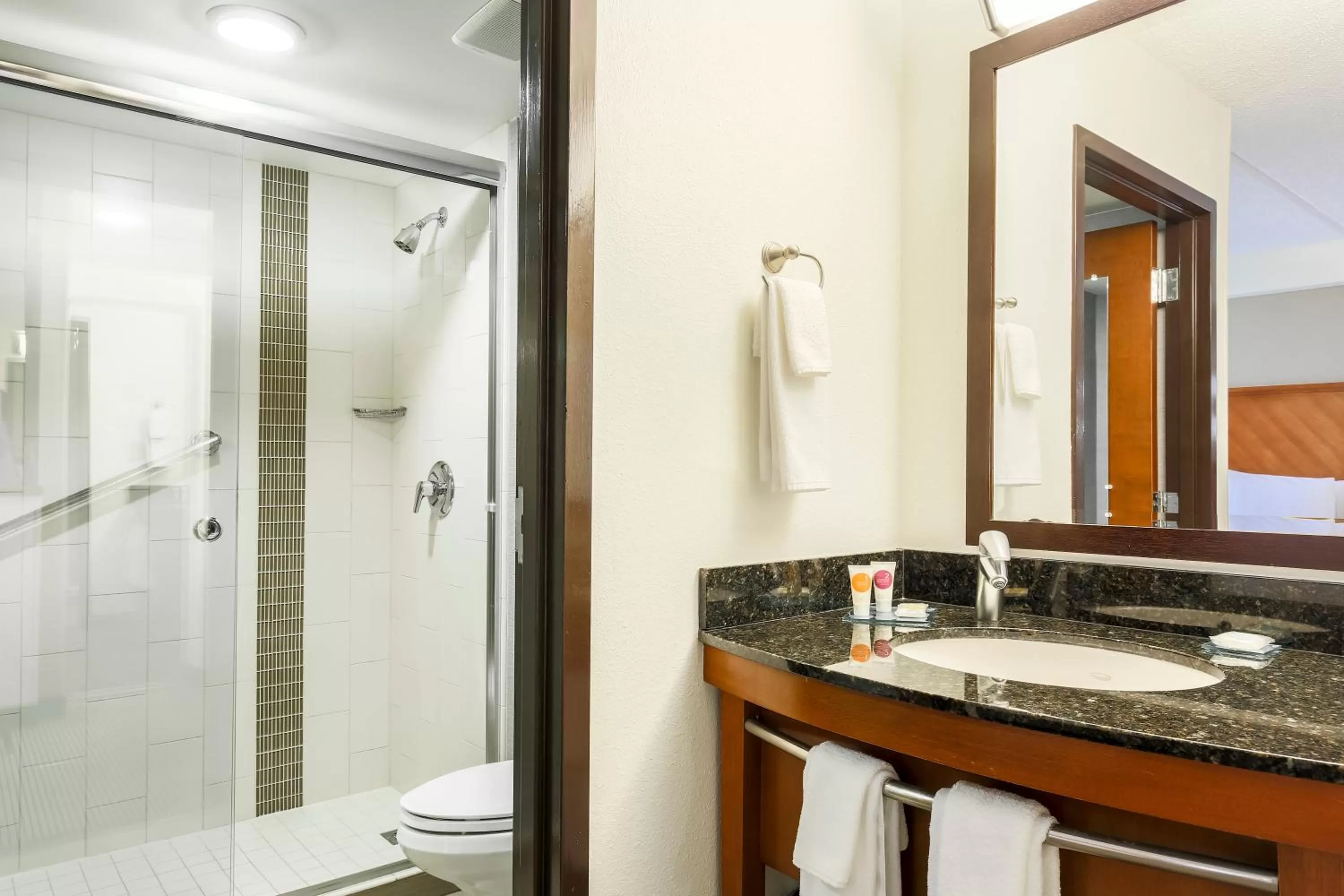 Toilet in Hyatt Place Fort Worth/Hurst