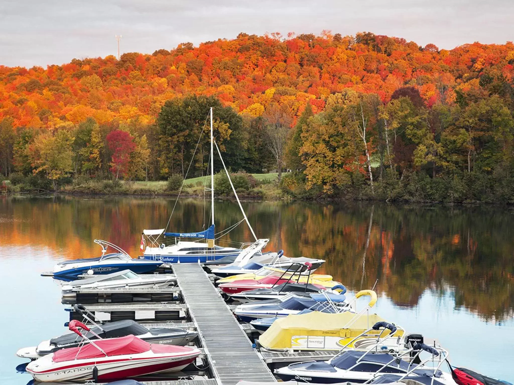 Autumn in Deerhurst Resort