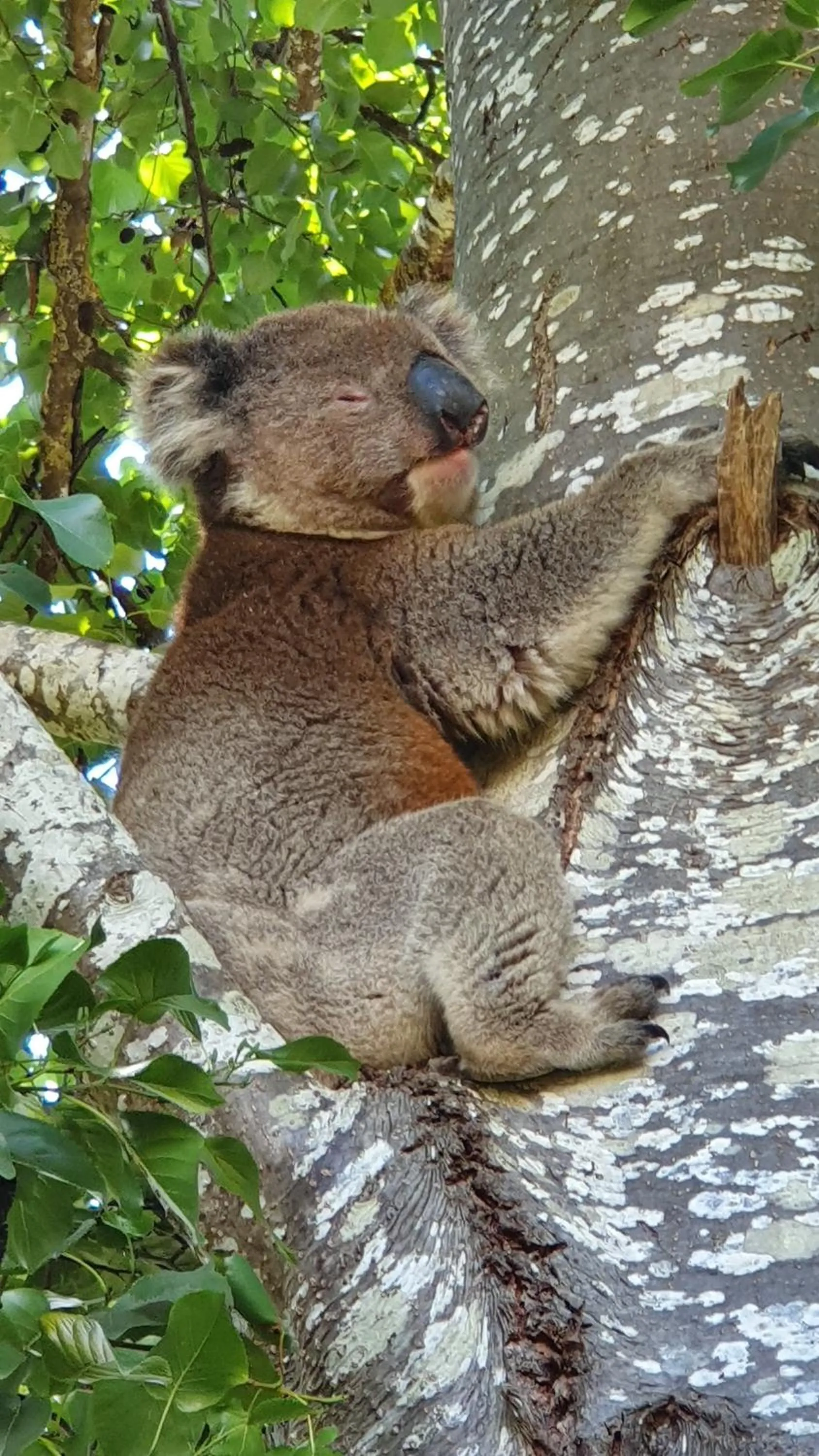 Off site in Amble at Hahndorf