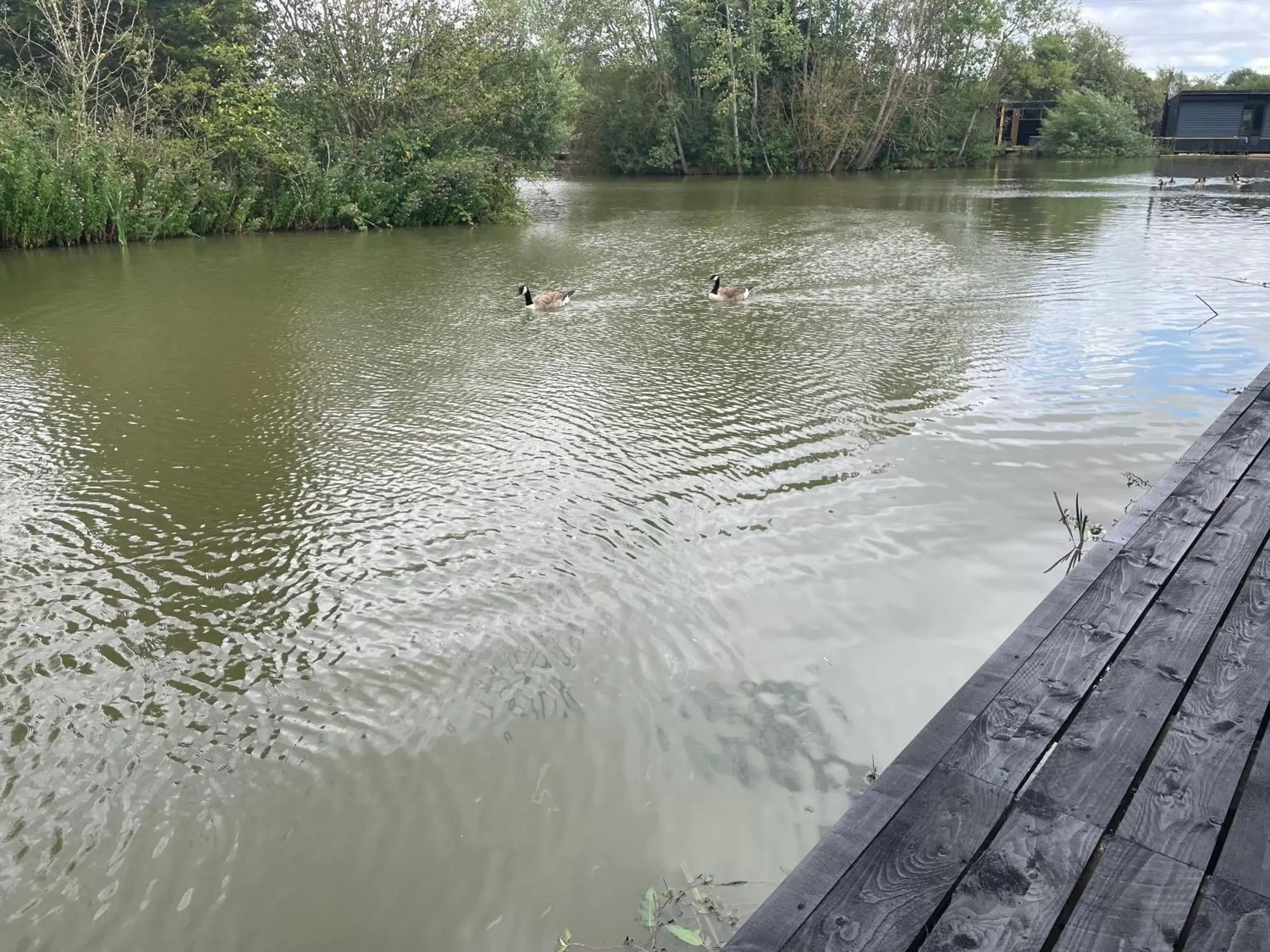 Natural landscape, River View in TheWaterfrontLodges