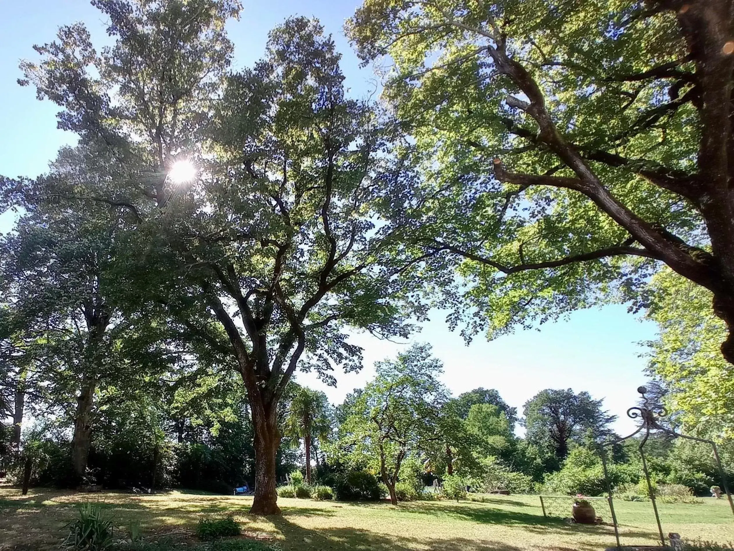 Garden in Domaine de Rasigous