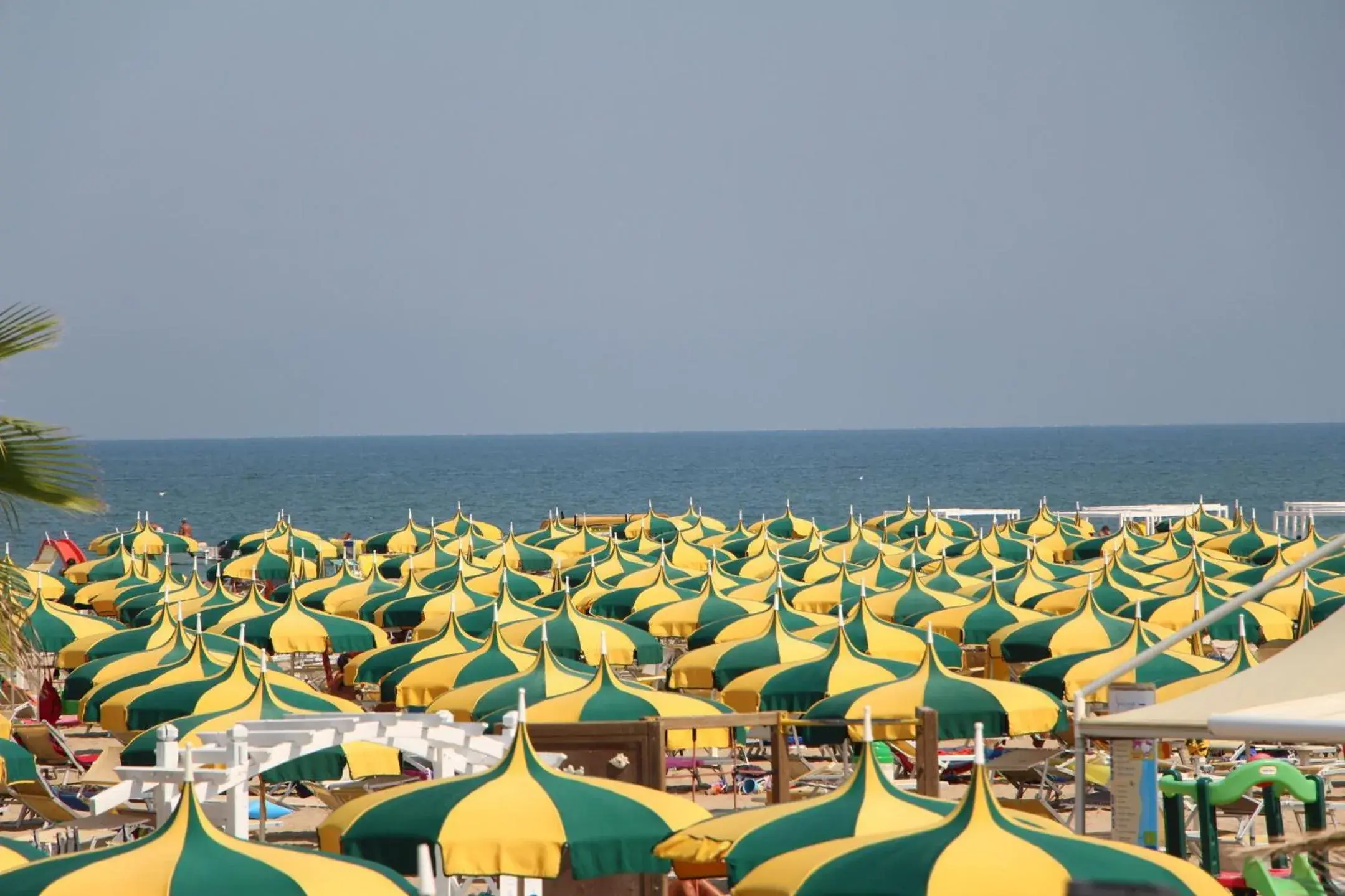 Summer, Beach in Hotel Petrarca