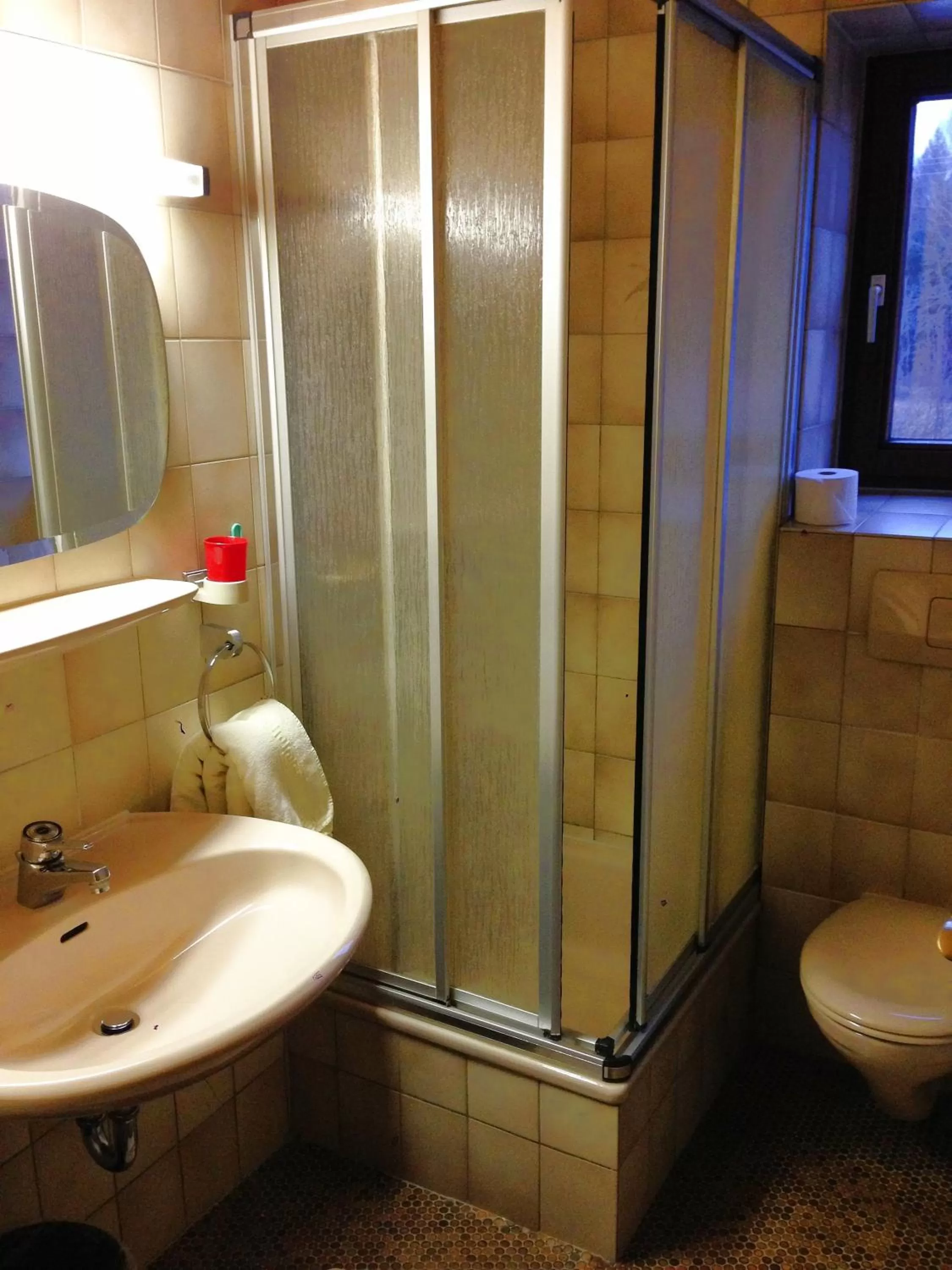 Shower in Beim Haxenwirt