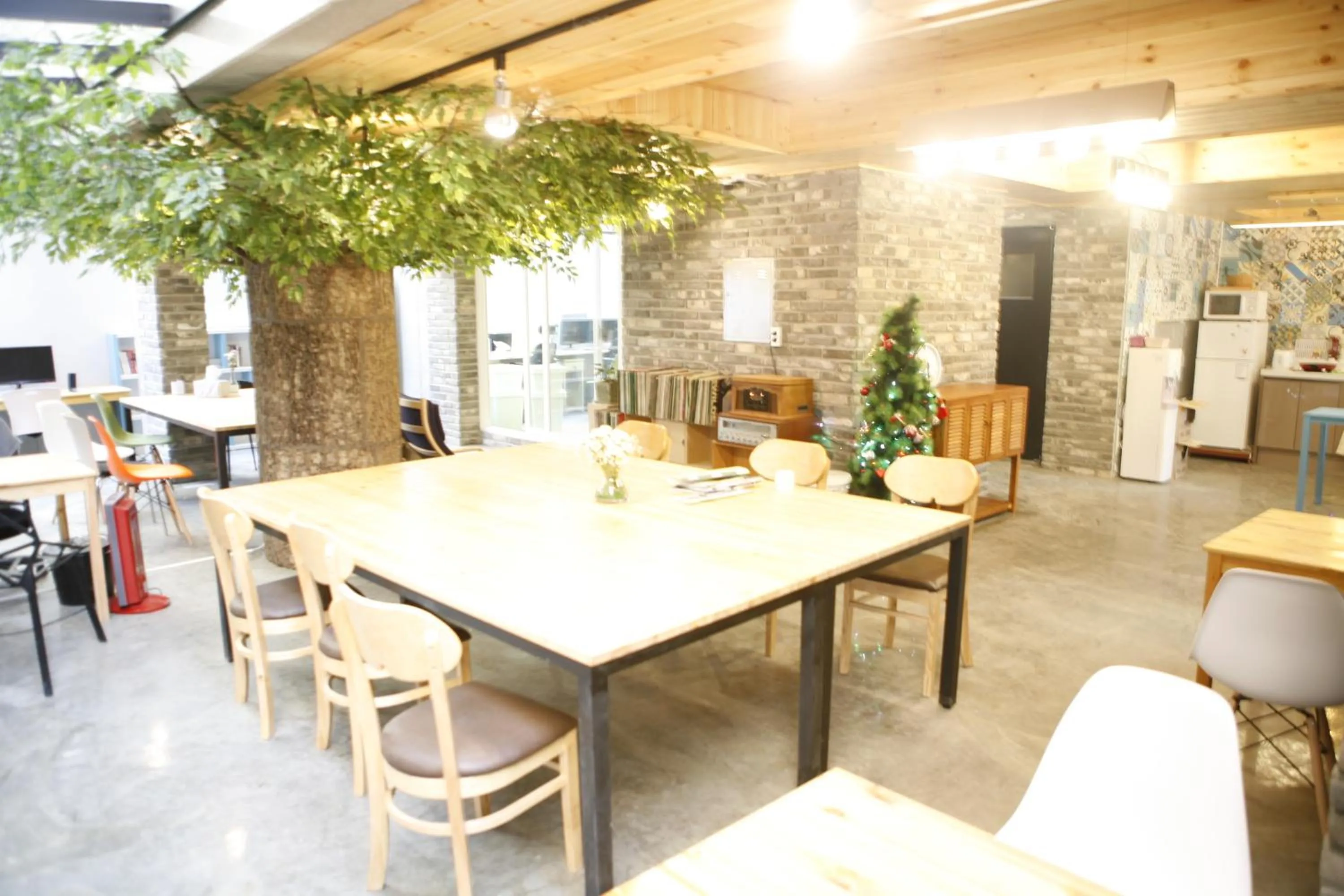 Restaurant/places to eat in Twin Rabbit Guesthouse