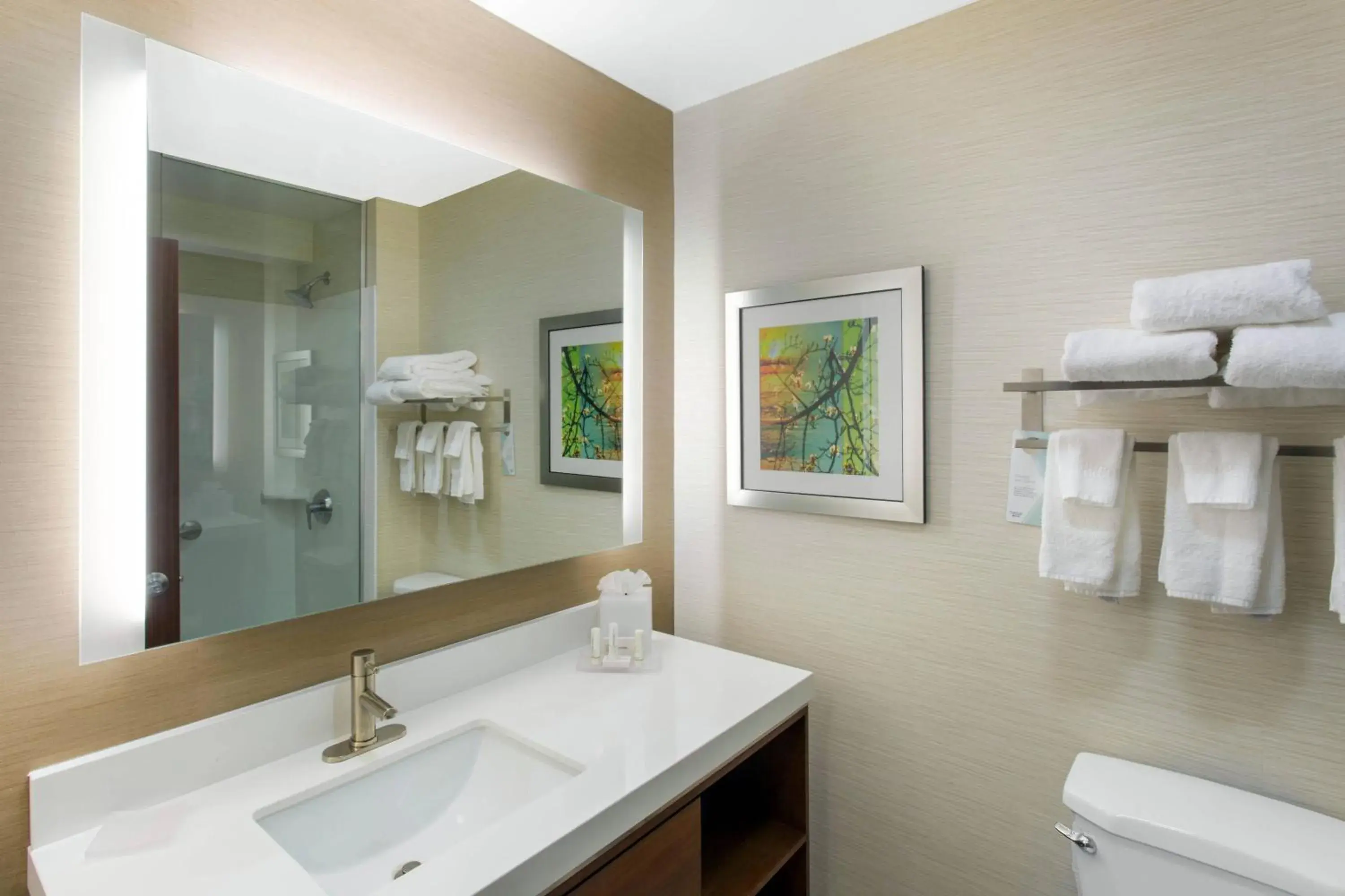 Bathroom in Fairfield Inn & Suites by Marriott Santa Fe