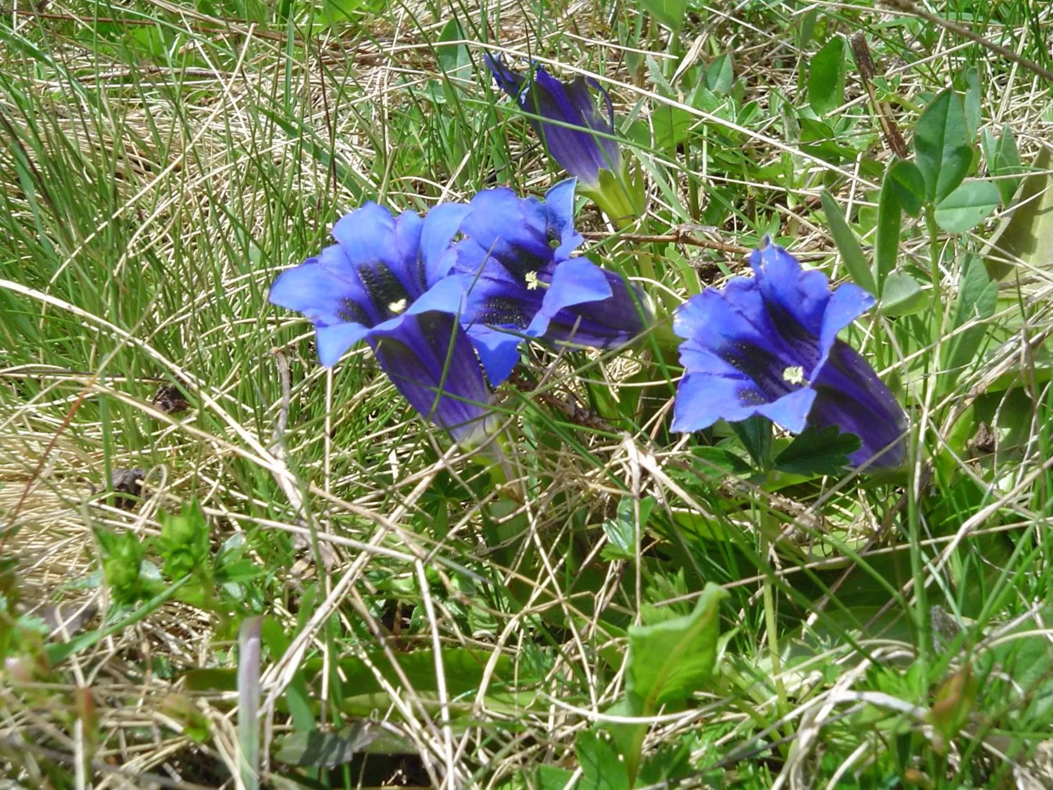 Hiking in Hotel Tschuggen