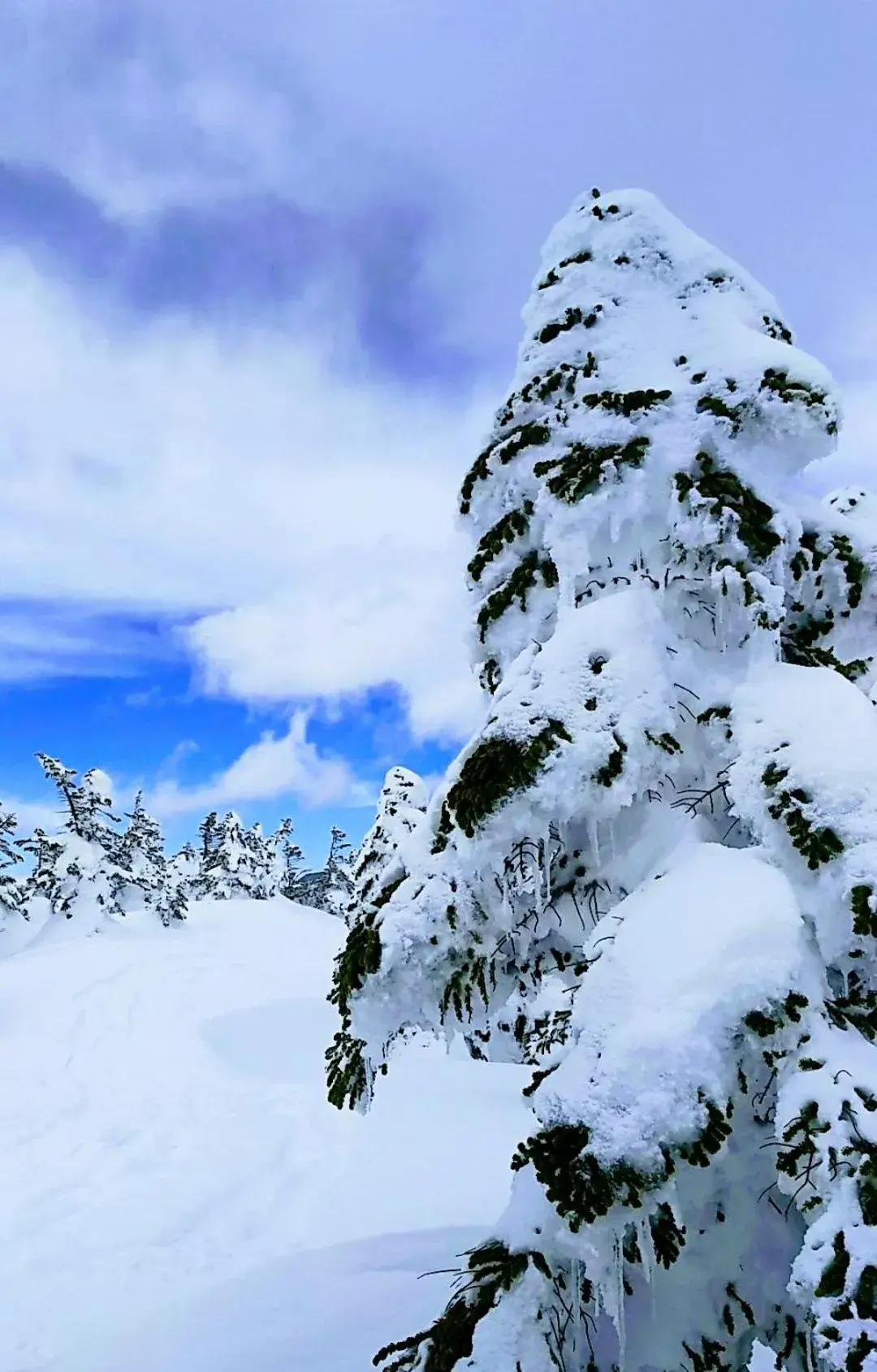 Skiing, Winter in Shiga Palace Hotel