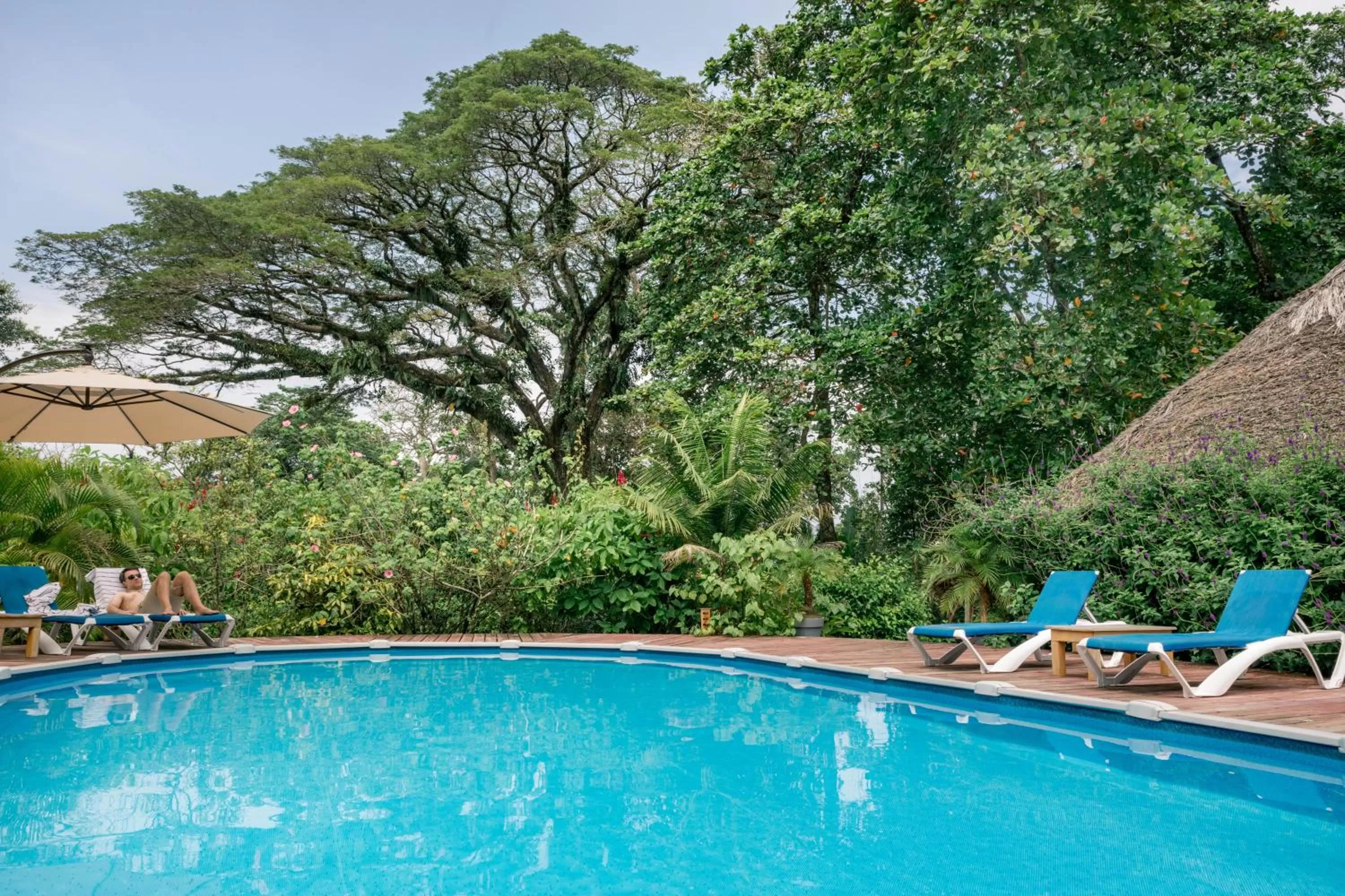 Swimming pool in The Hummingbird