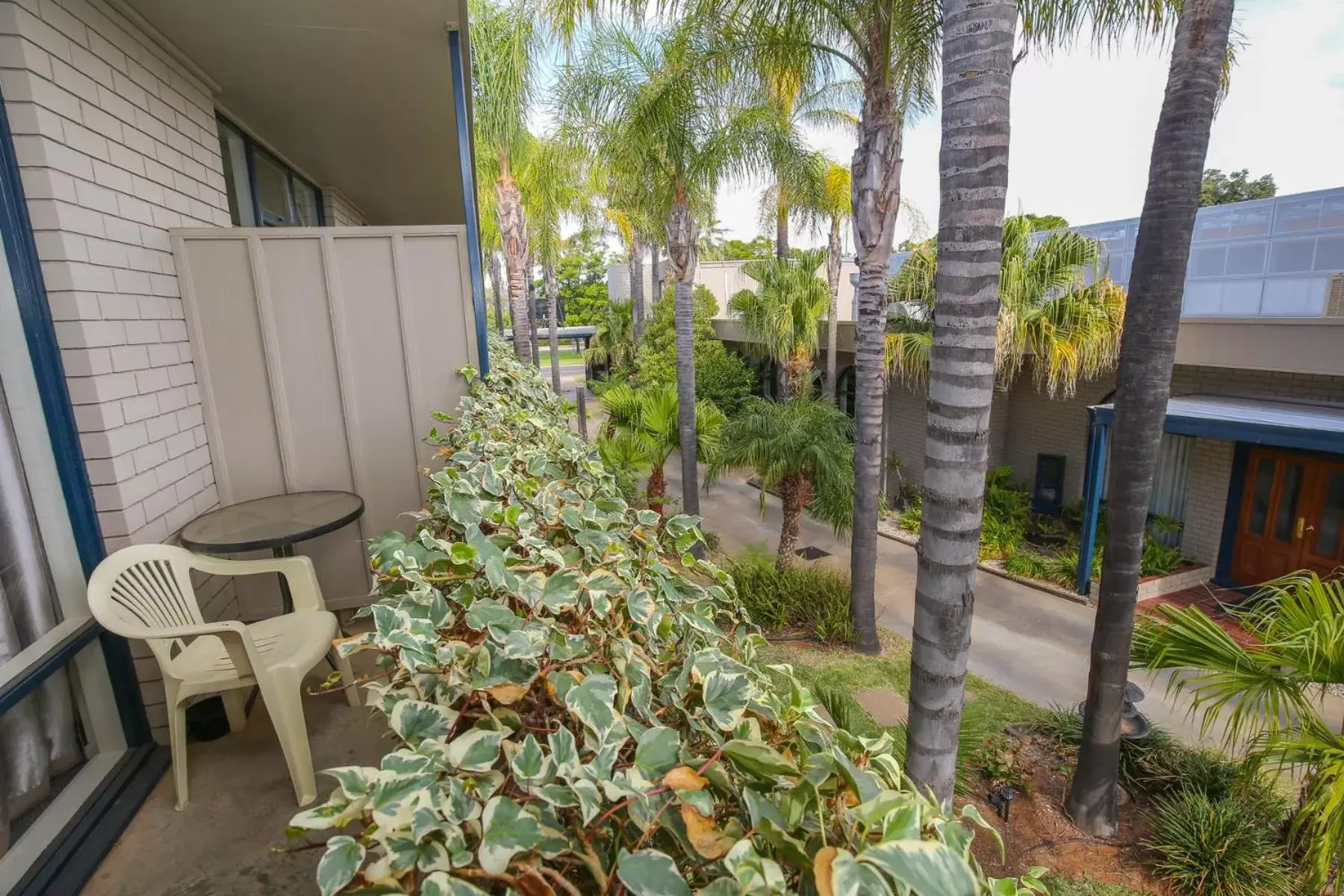 Garden in Sandors Motor Inn