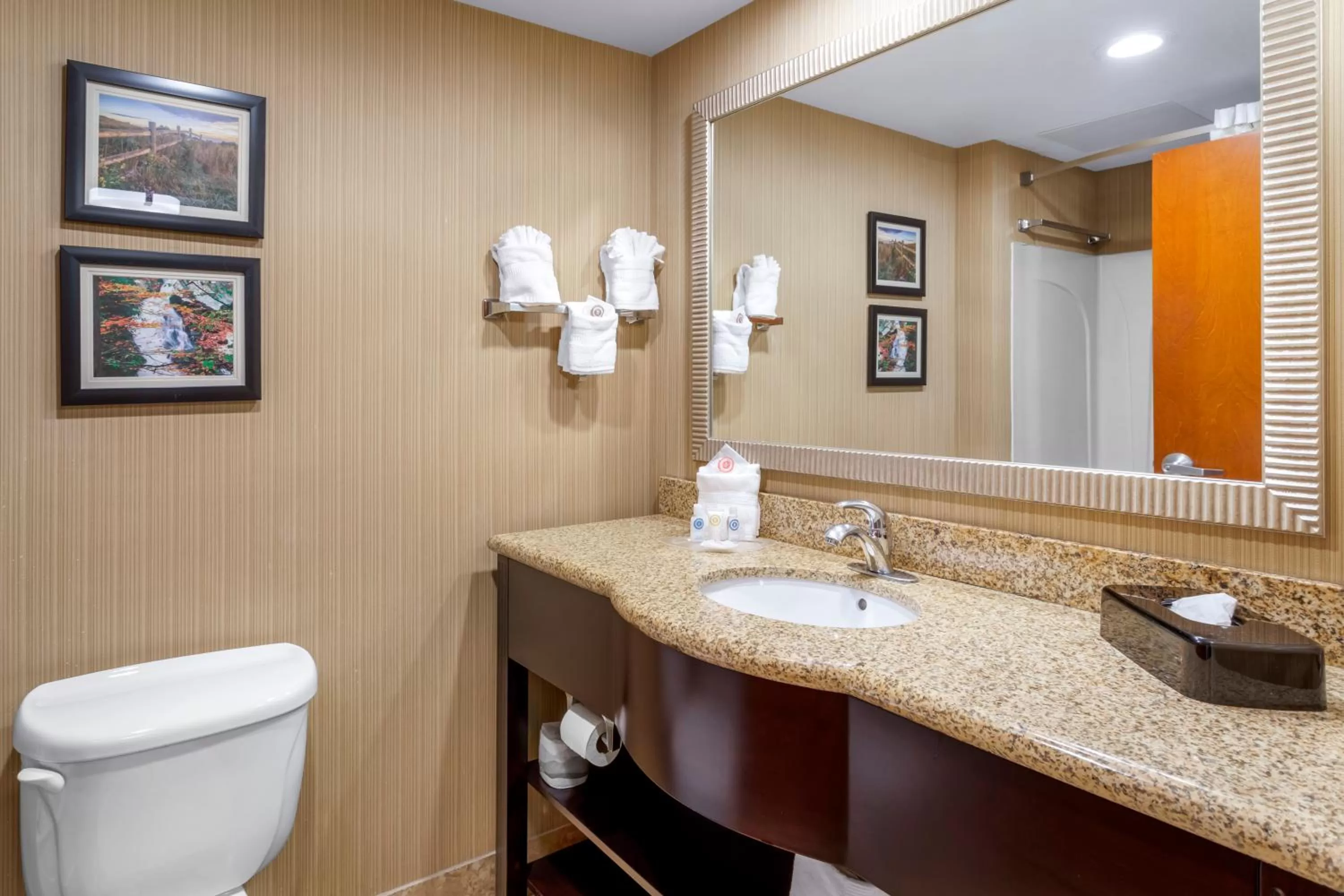 Bathroom in Comfort Suites Knoxville North