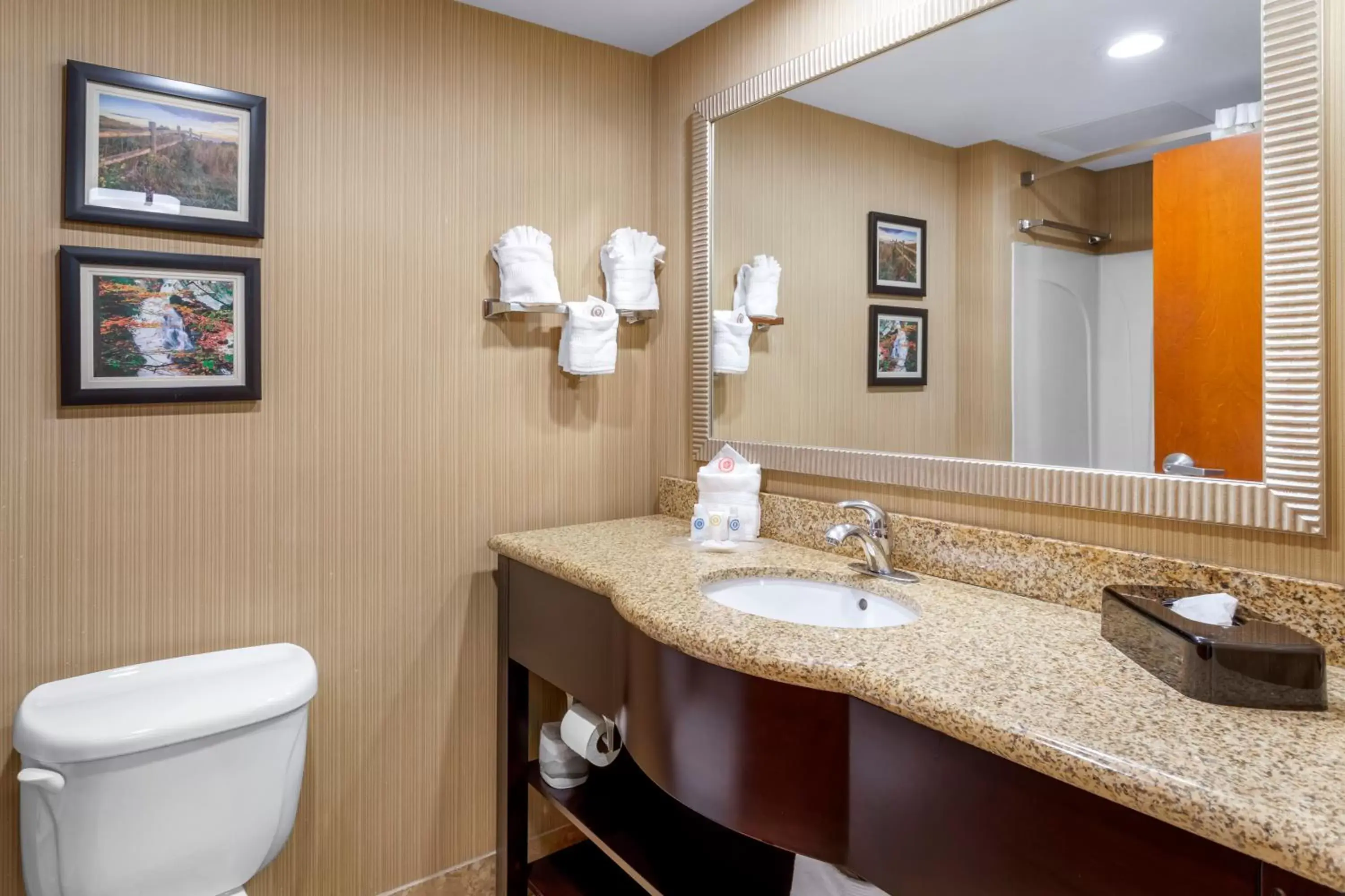 Bathroom in Comfort Suites North Knoxville