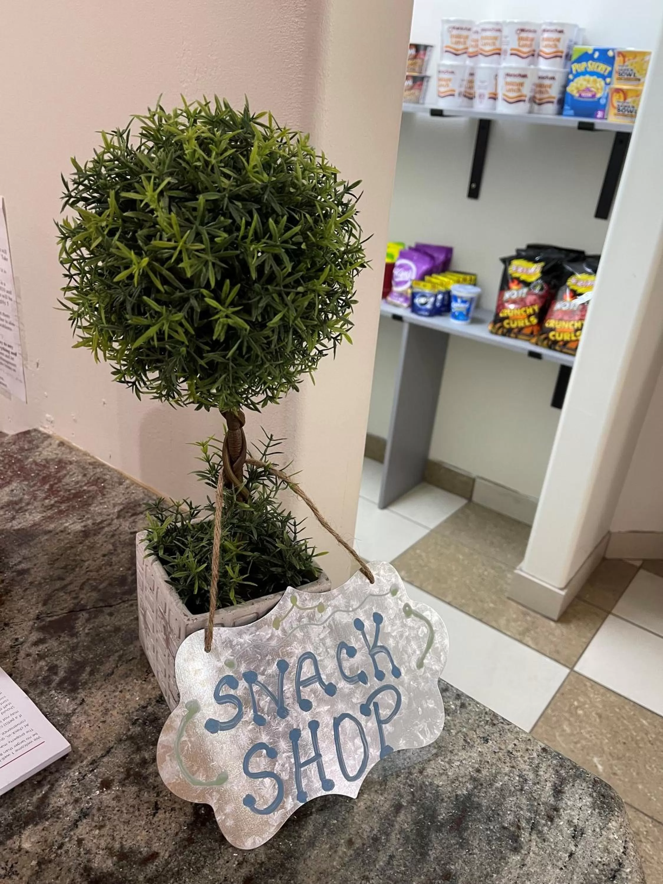 Shopping Area in Red Roof Inn & Suites Detroit - Melvindale/Dearborn