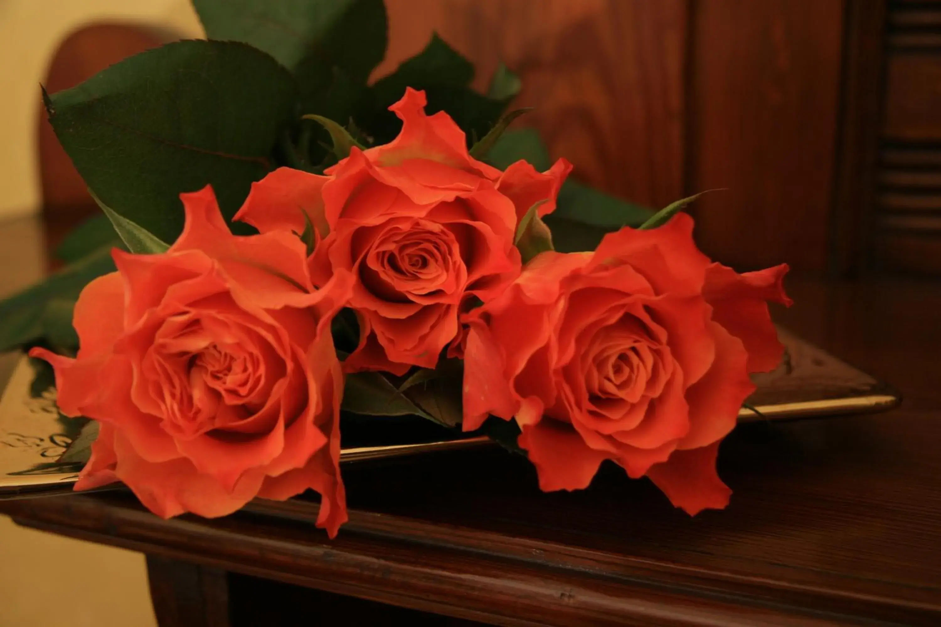 Decorative detail in Hotel La Rescossa