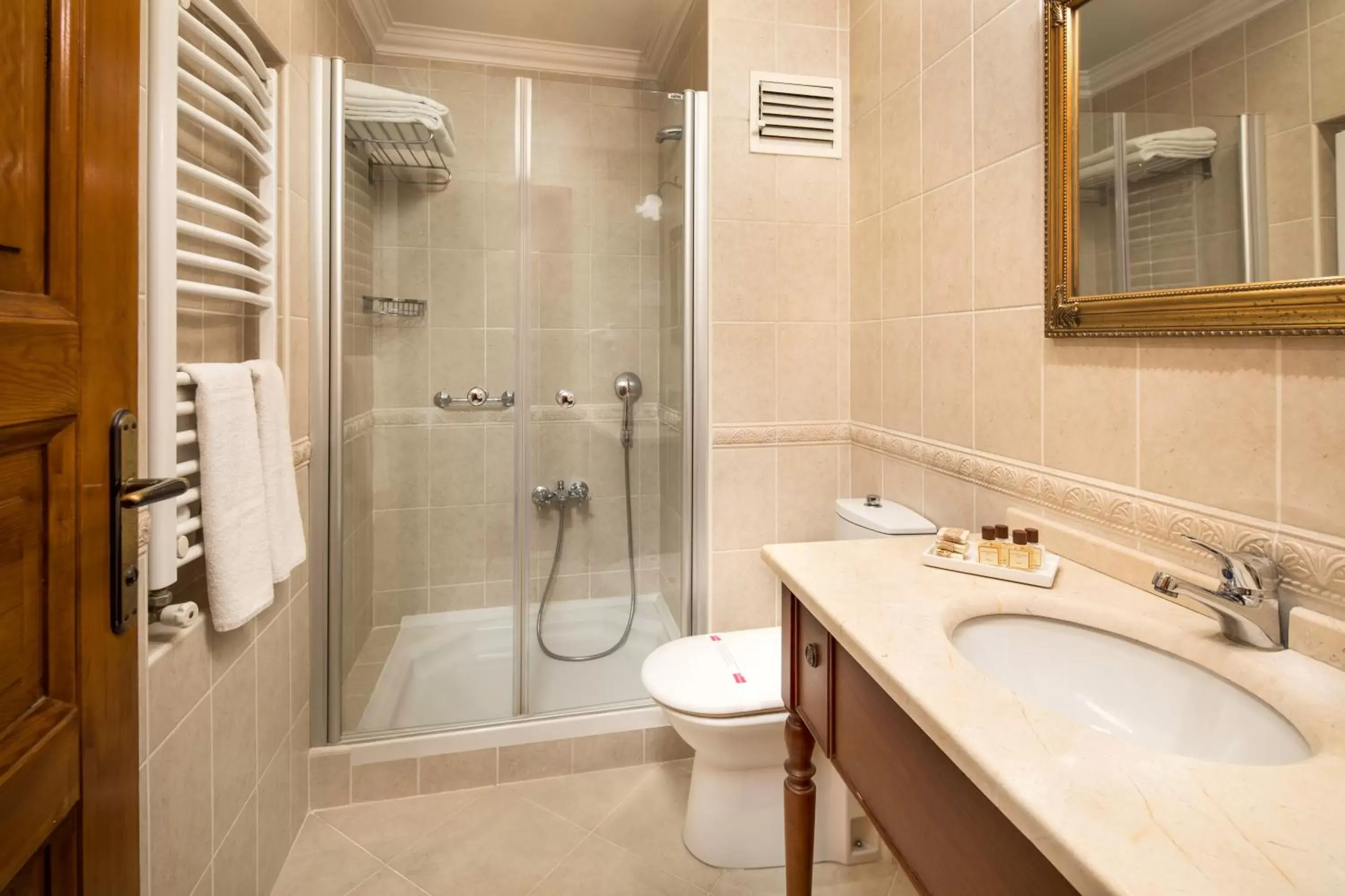 Shower, Bathroom in Hotel Sari Konak