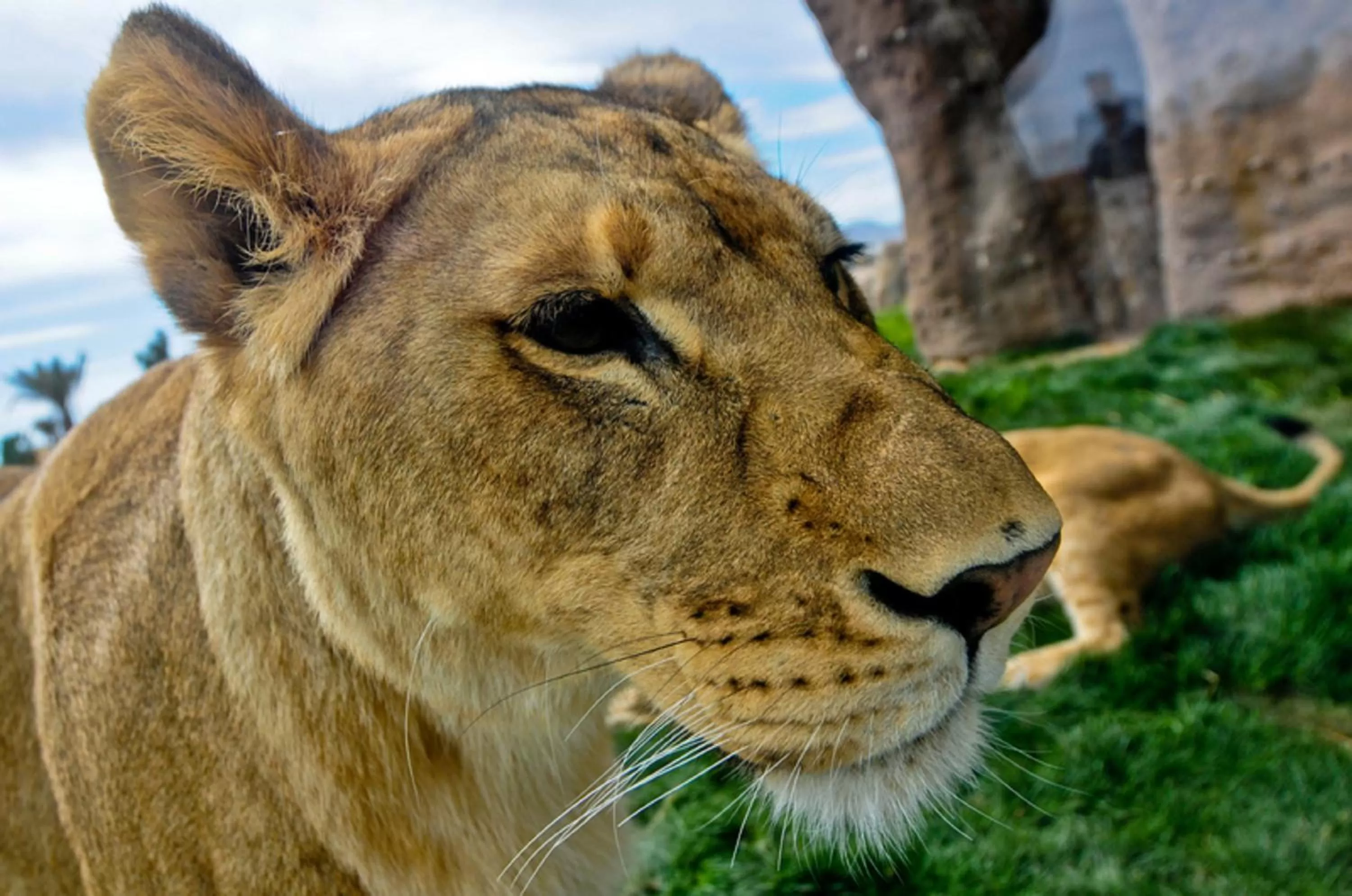 Nearby landmark in Holiday Inn El Paso Airport by IHG