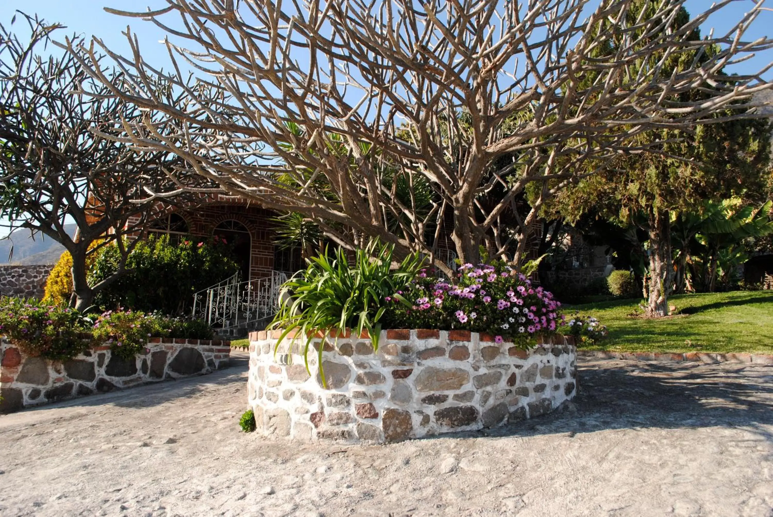 Garden in Mama Chuy Hotel & Villas