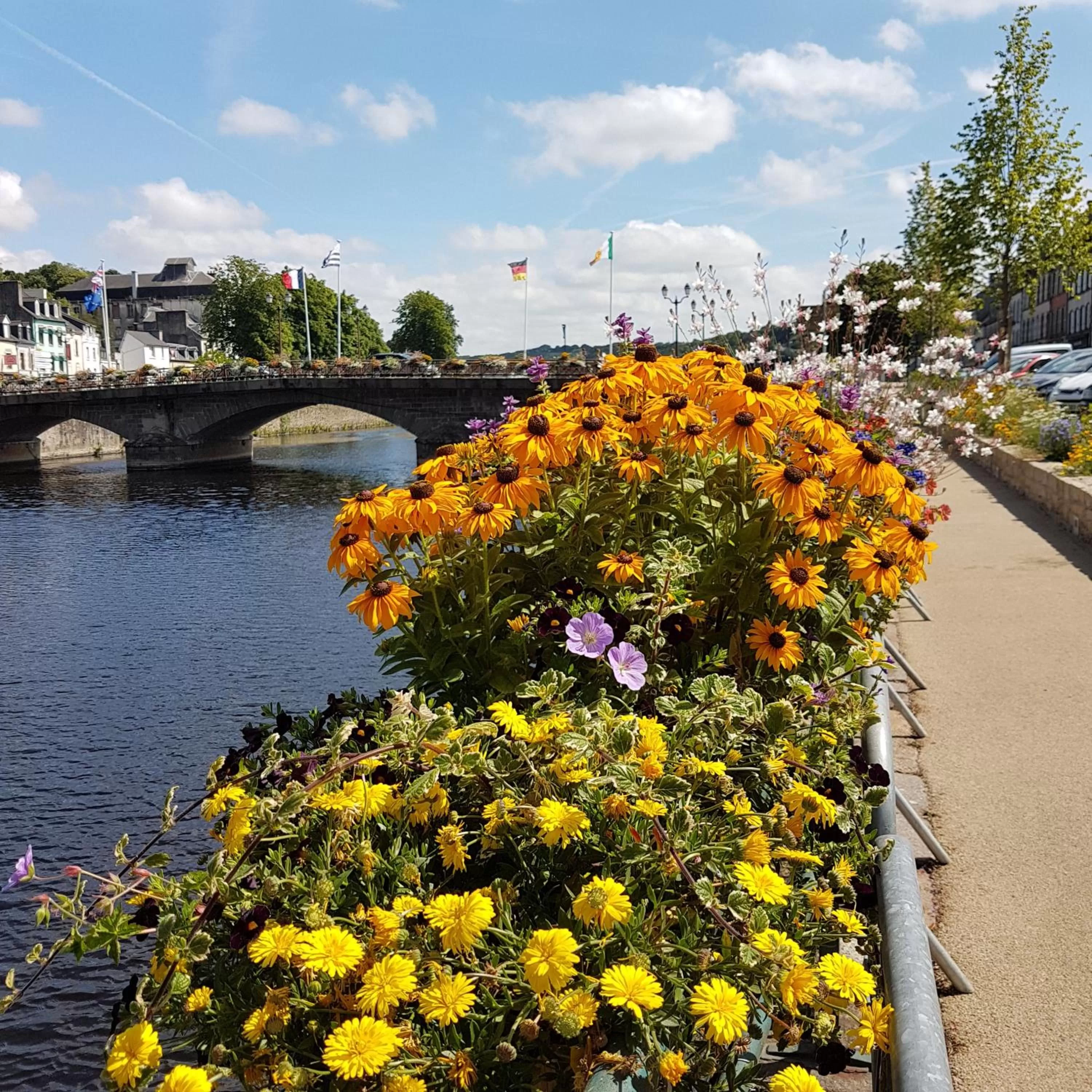 River view in Chambres Dhôtes Numéro 1