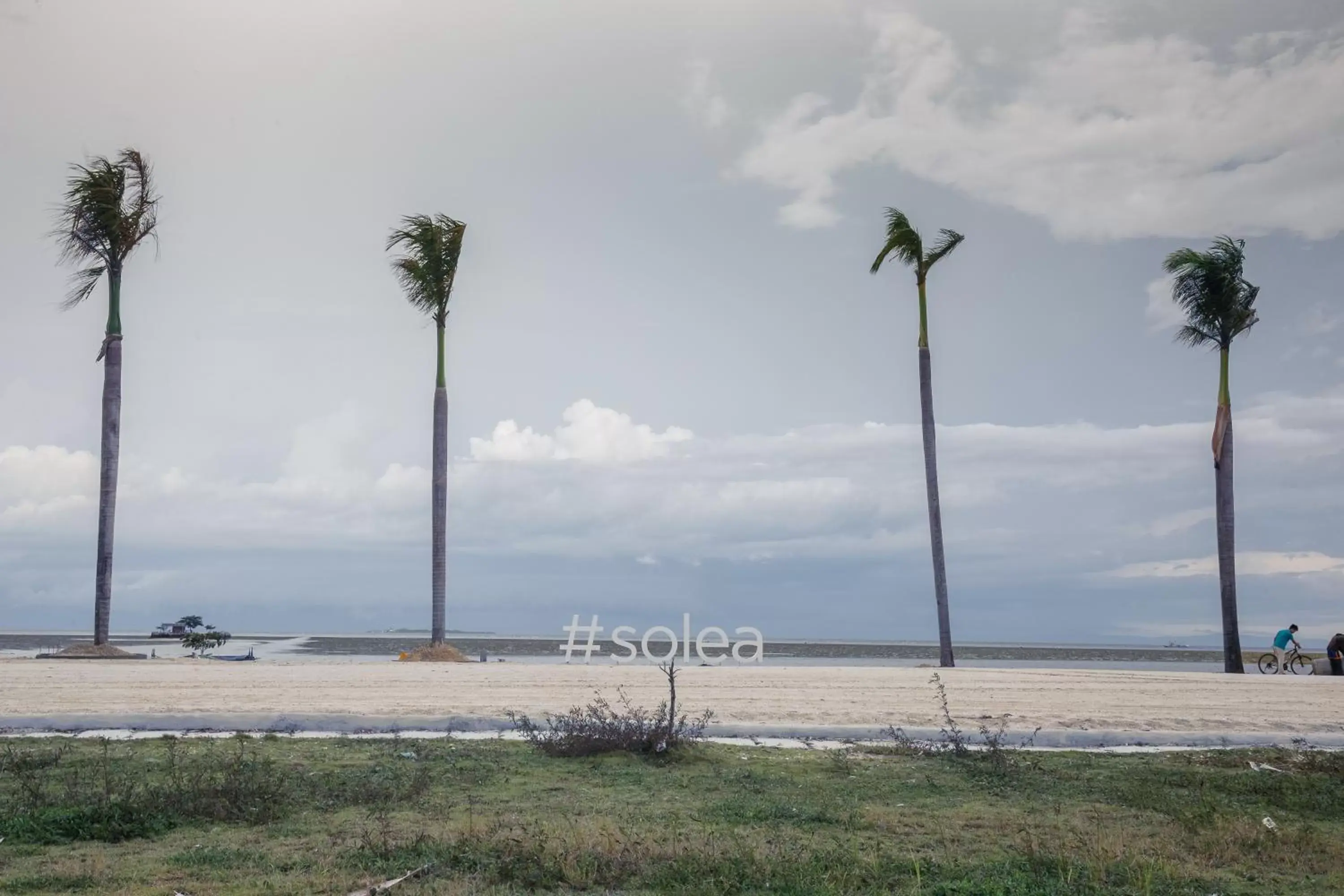 Property logo or sign, Natural Landscape in Solea Mactan Resort