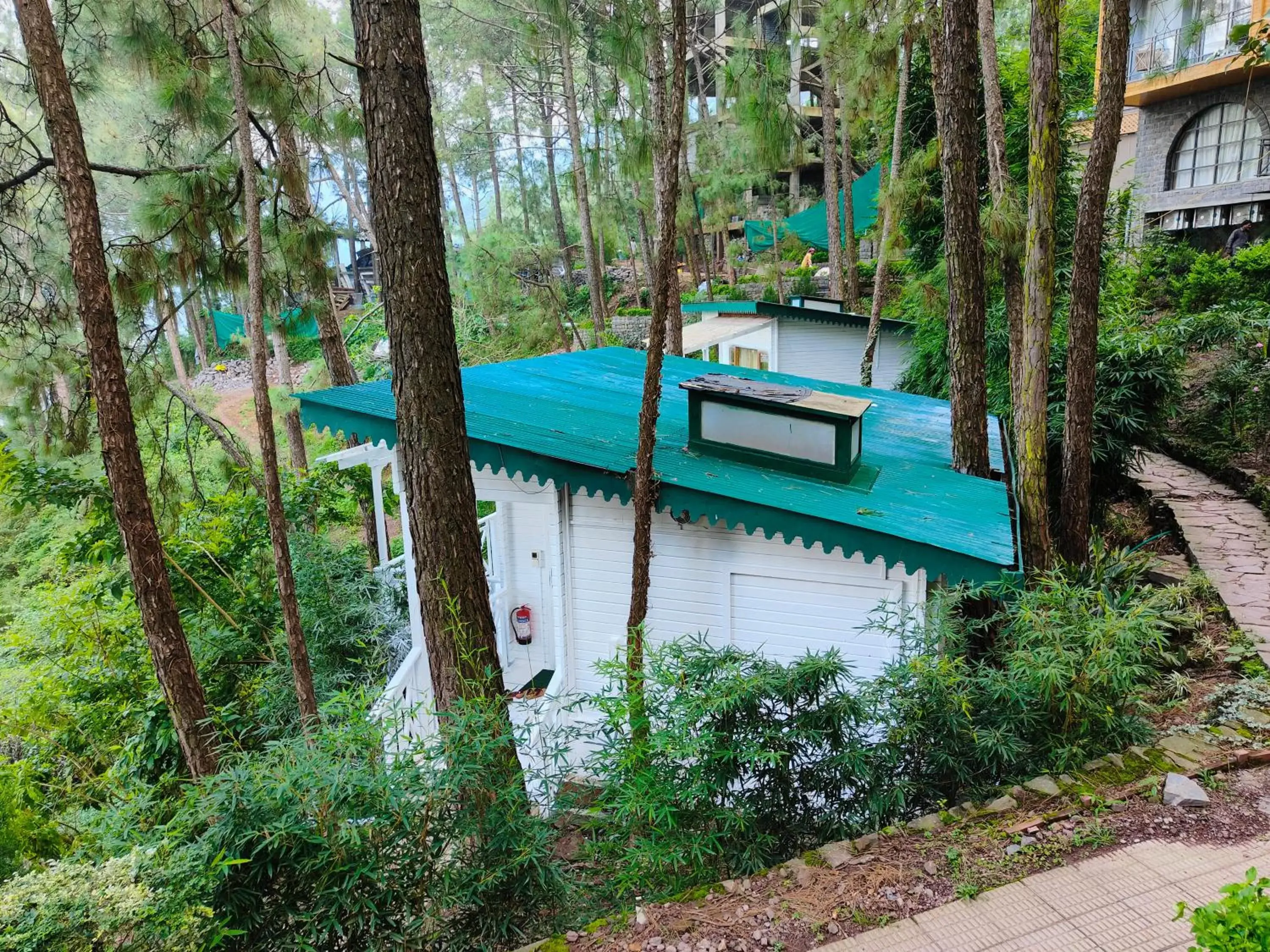 View (from property/room) in Kasauli Hills Resort