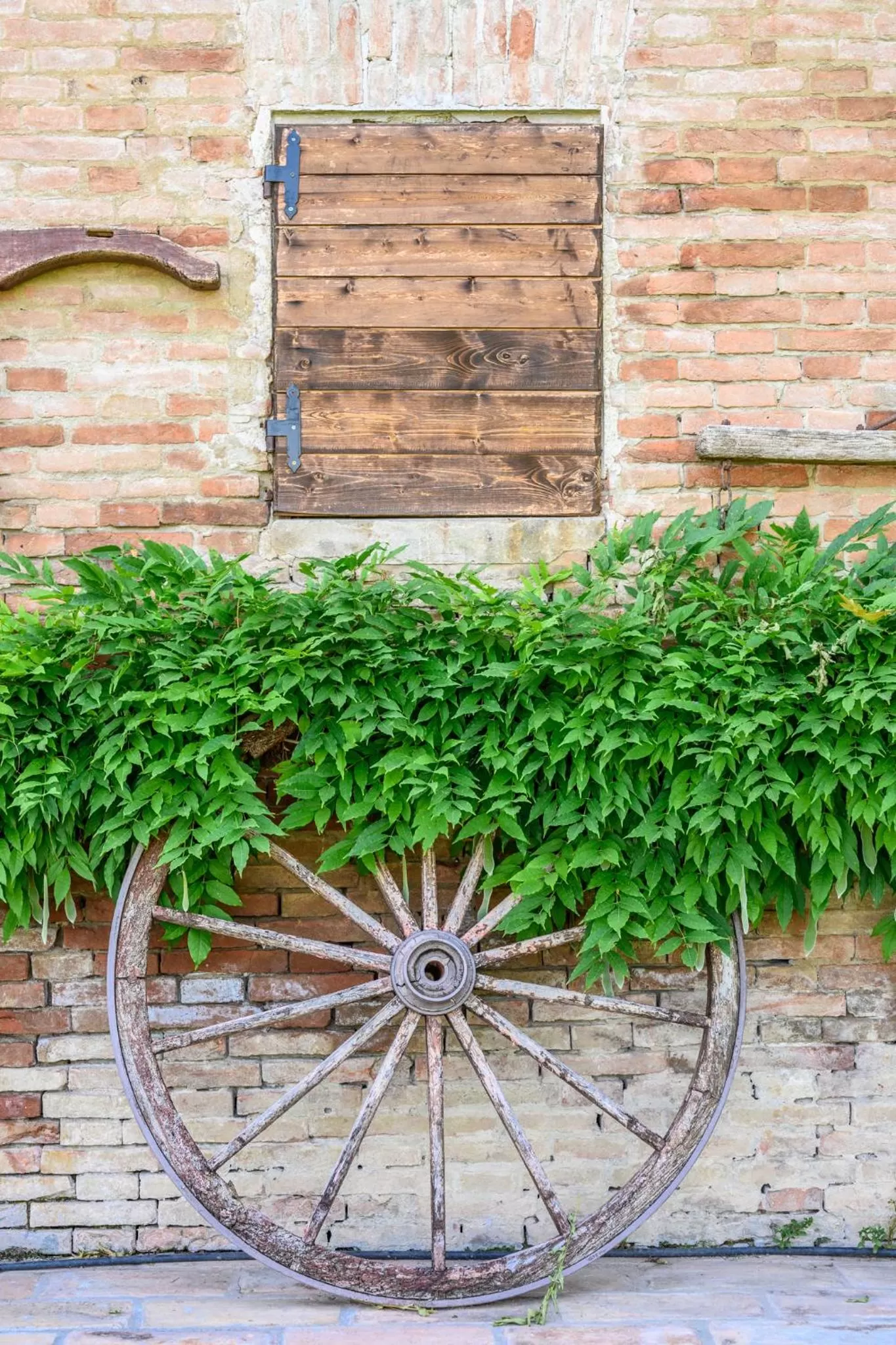 La Casa di Valeria - Modena
