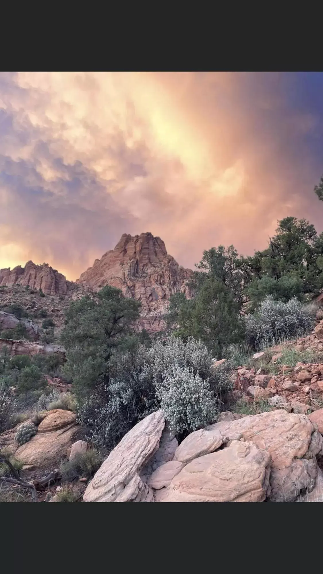 Mountain view, Natural Landscape in Zion Cliff Lodge