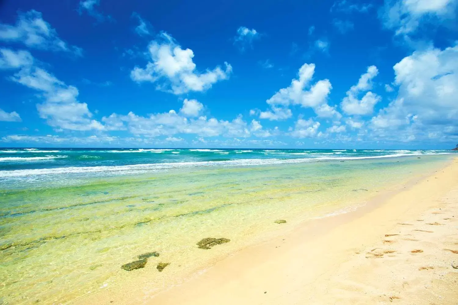 Natural landscape, Beach in OUTRIGGER Kaua'i Beach Resort & Spa