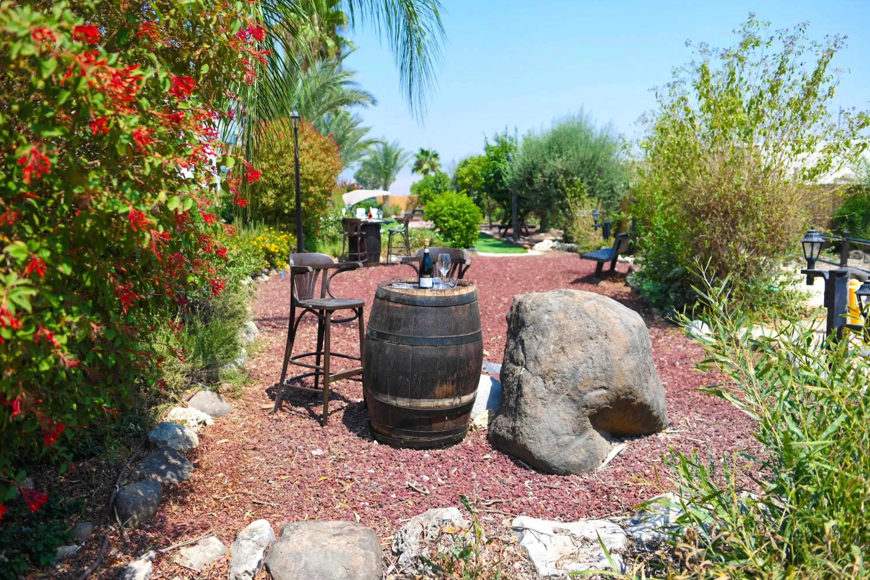 Patio in Magical in the Galilee