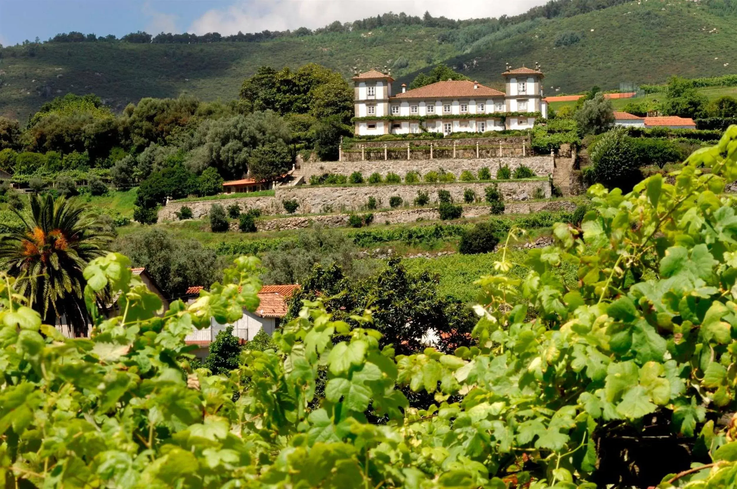 Facade/entrance, Bird's-eye View in Paço de Calheiros - Turismo de Habitação