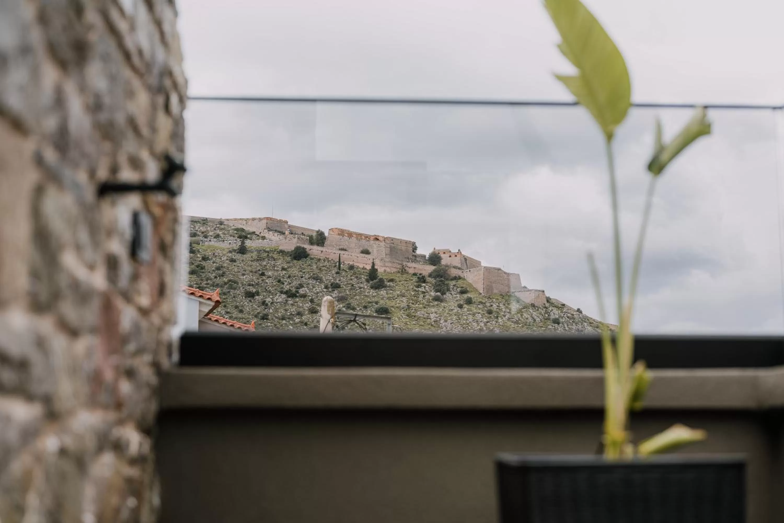 Day in Opal Executive Suites