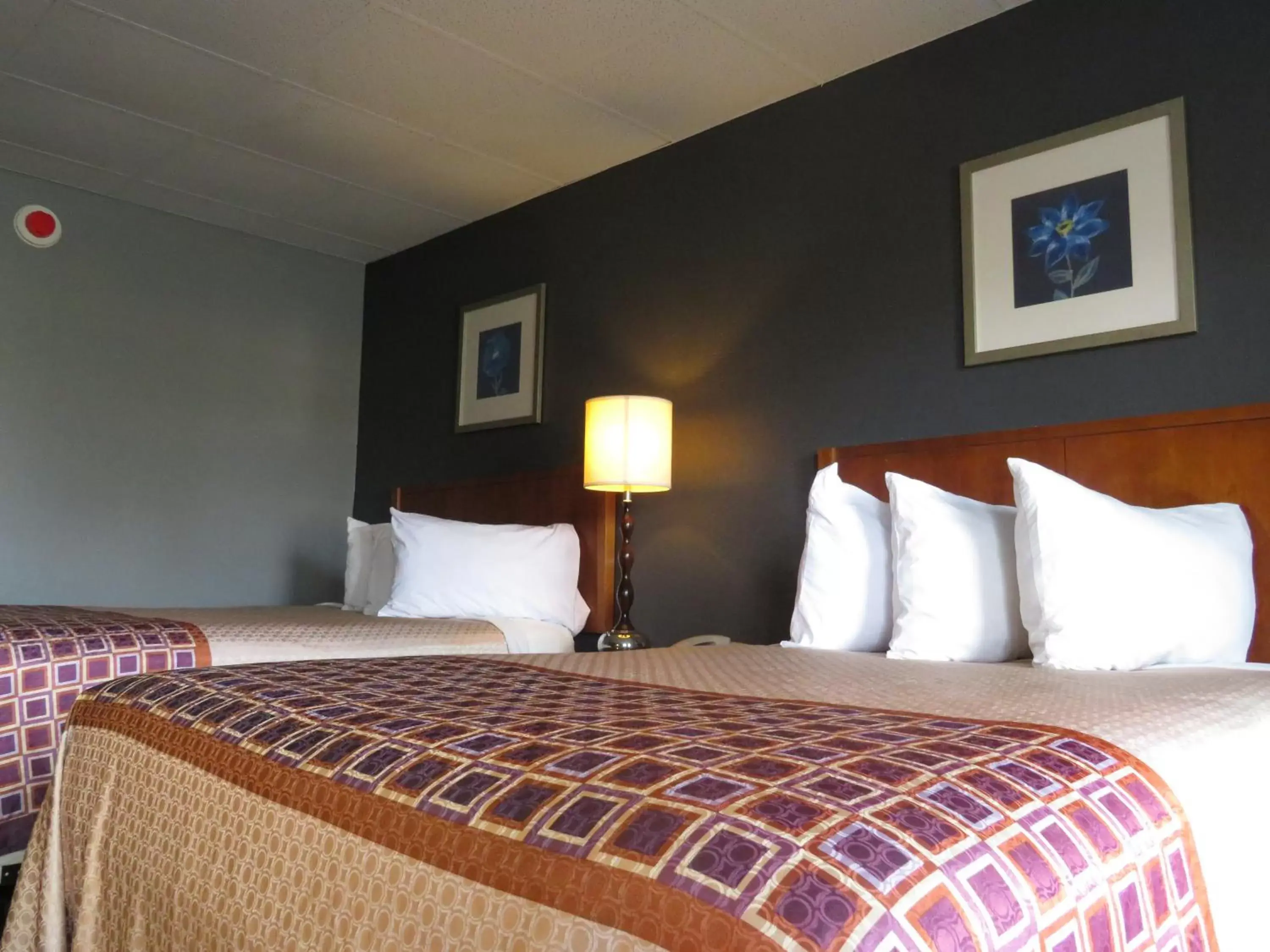 Bed in Travelodge by Wyndham Walterboro