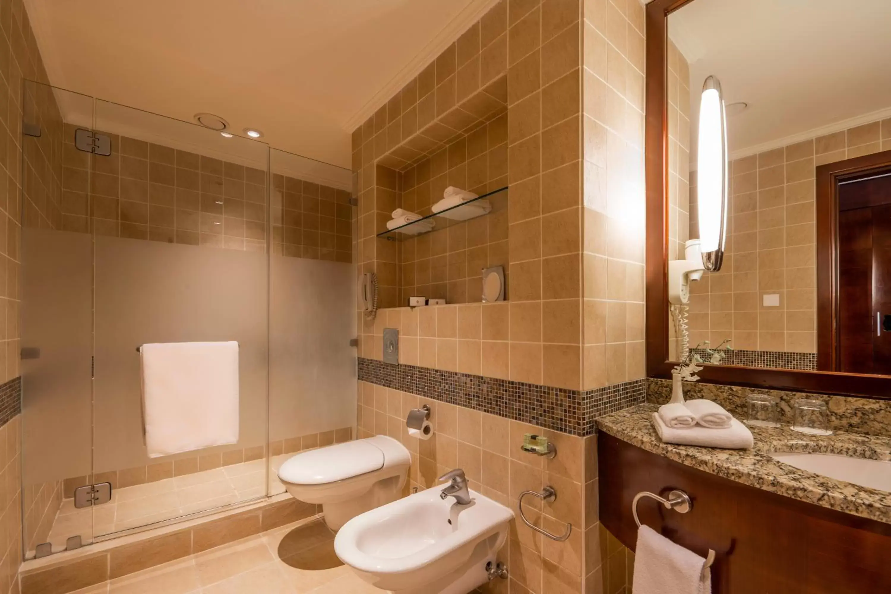 Bathroom in InterContinental Aqaba, an IHG Hotel