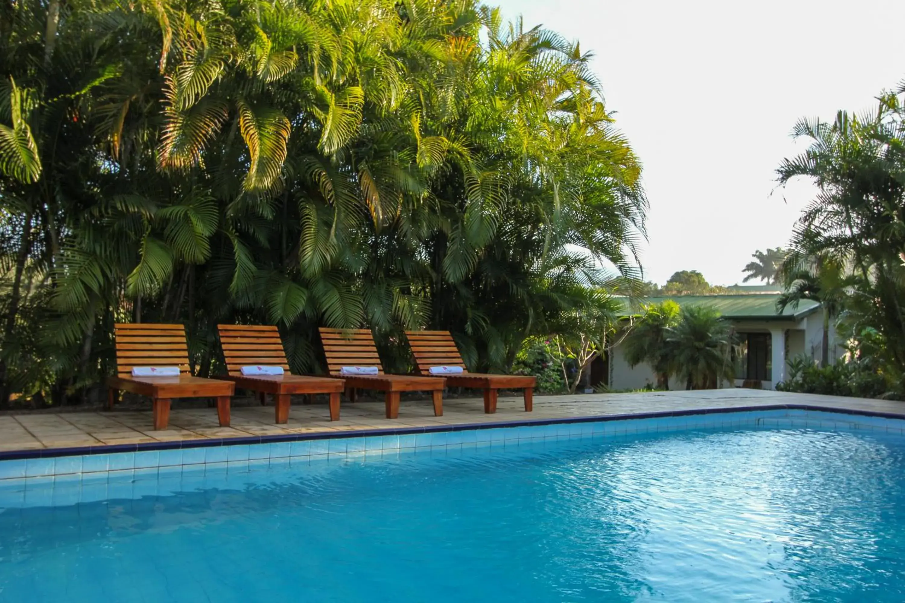 Swimming Pool in Hotel La Rosa de America