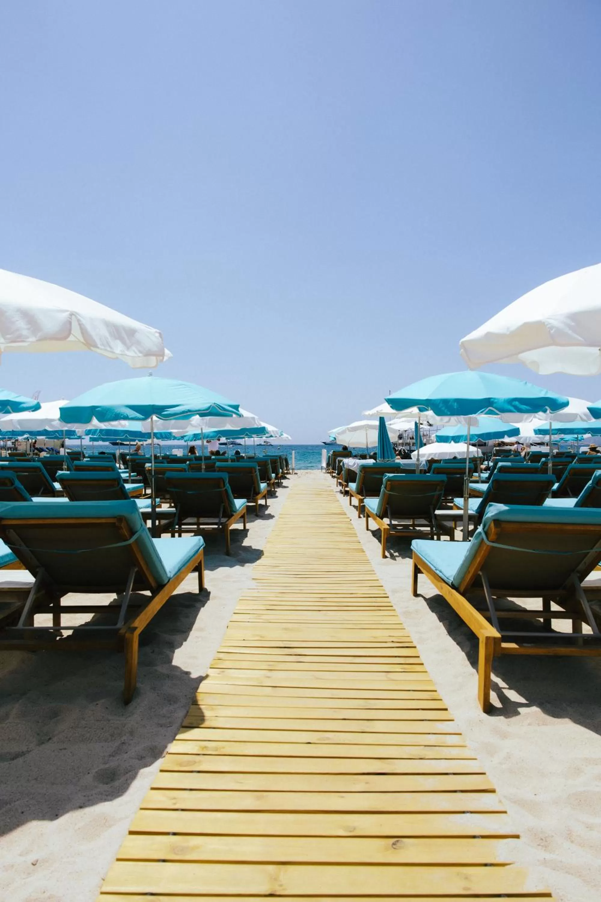 Natural landscape in Mondrian Cannes