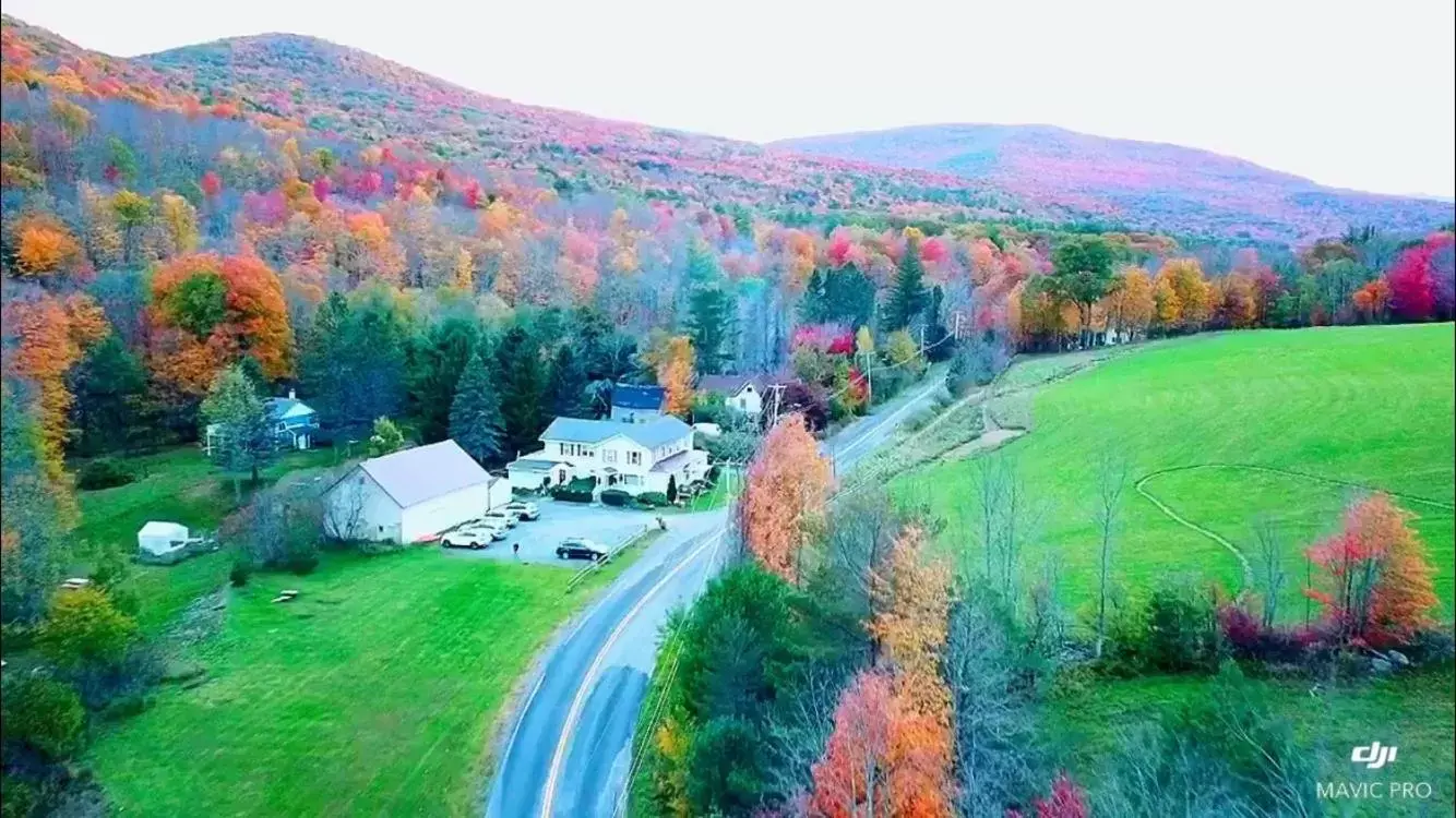 Bird's-eye View in Mountain Treasure Bed and Breakfast