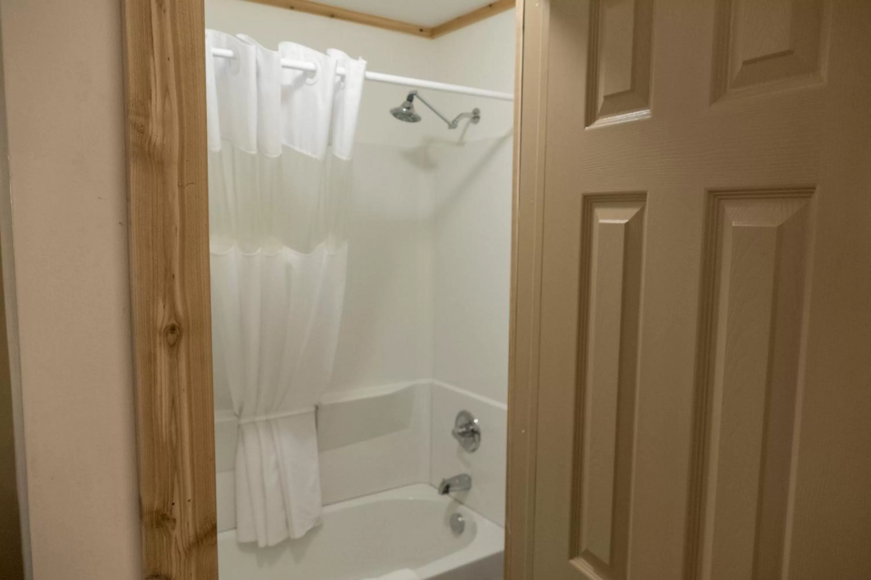 Shower, Bathroom in Timber Ridge Lodge Ouray