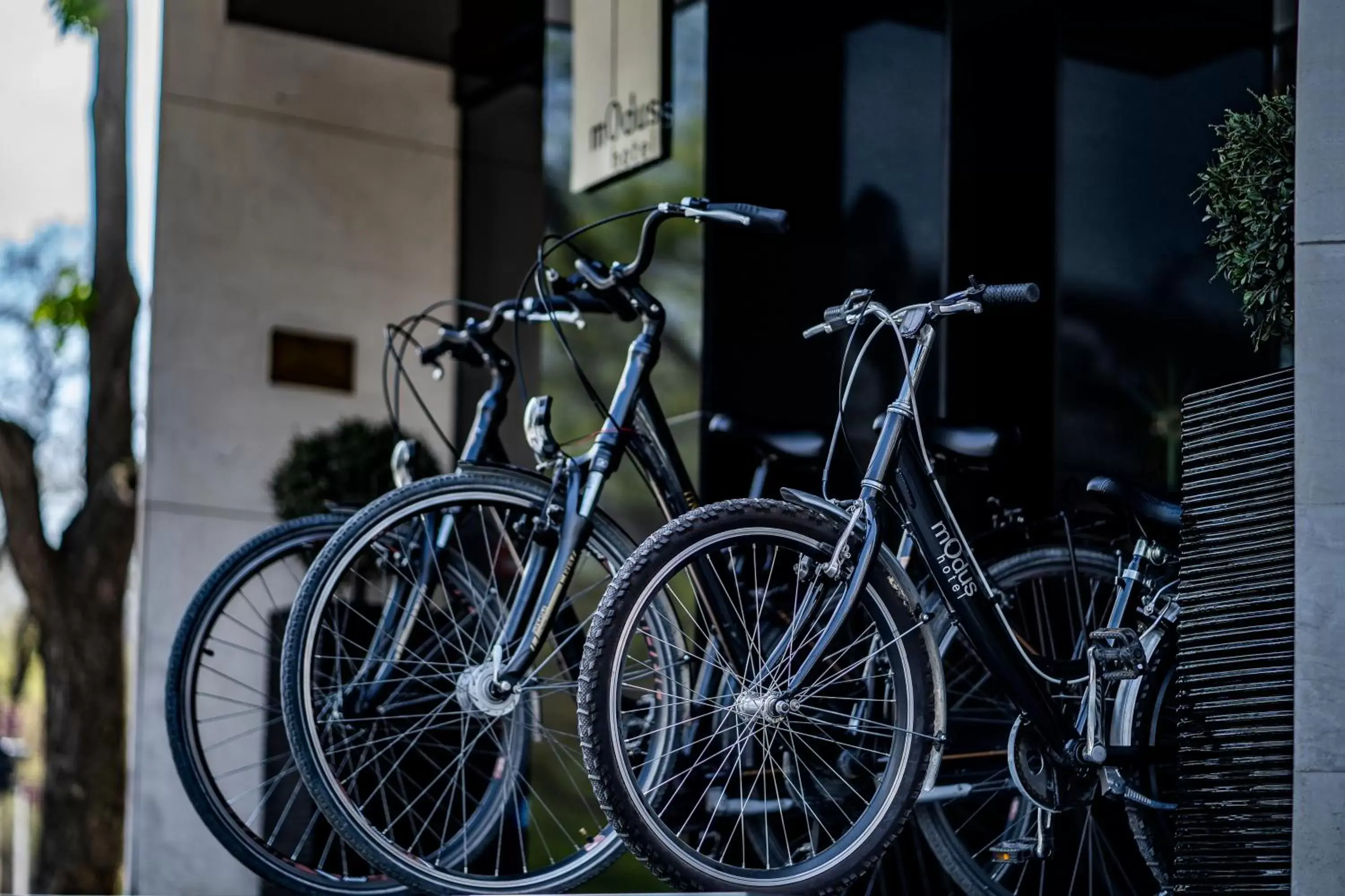 Cycling, Biking in mOdus Hotel