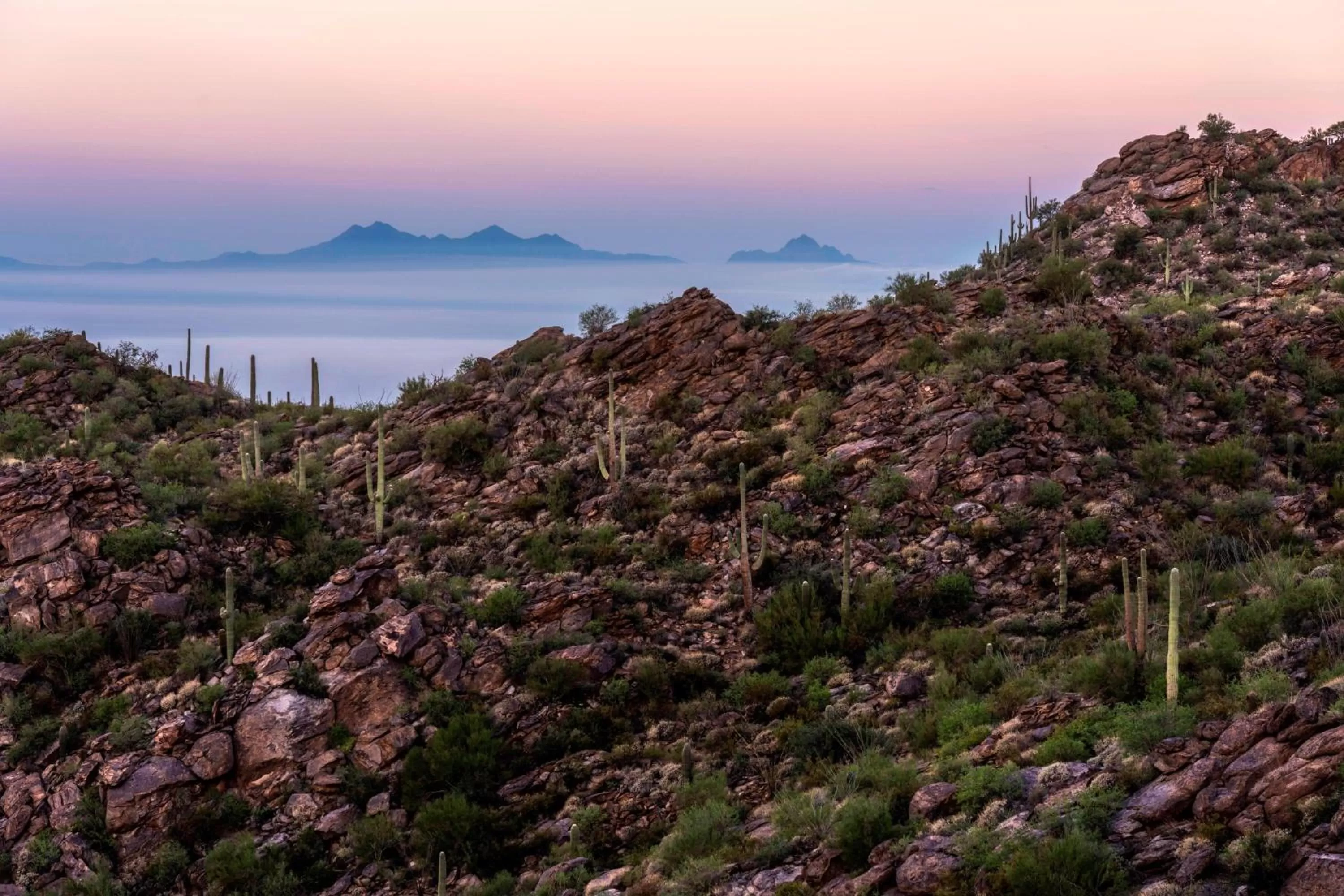 View (from property/room) in The Ritz-Carlton, Dove Mountain